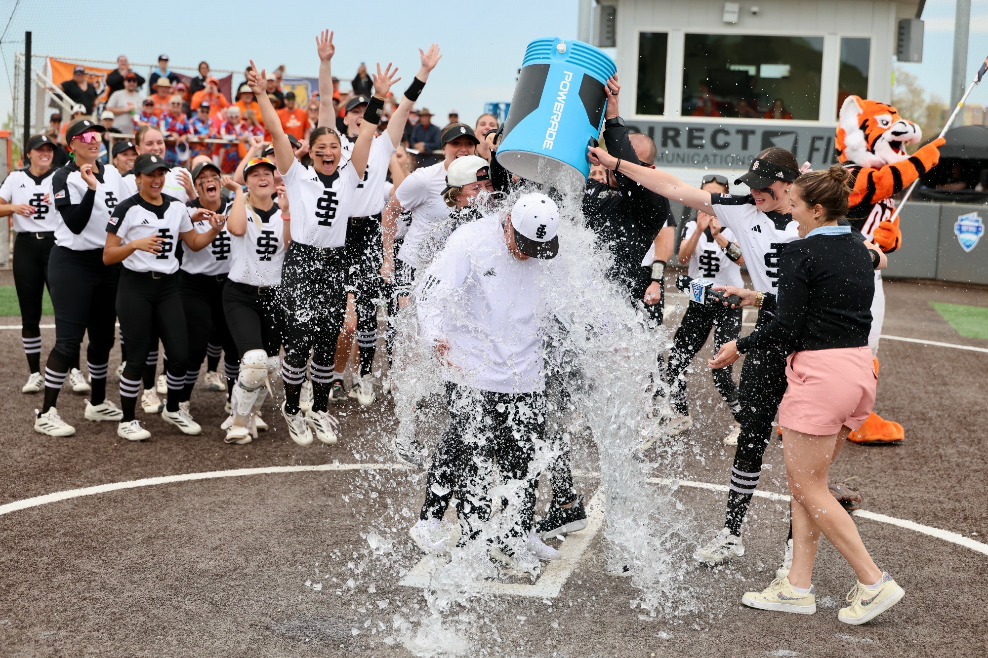 Celebration