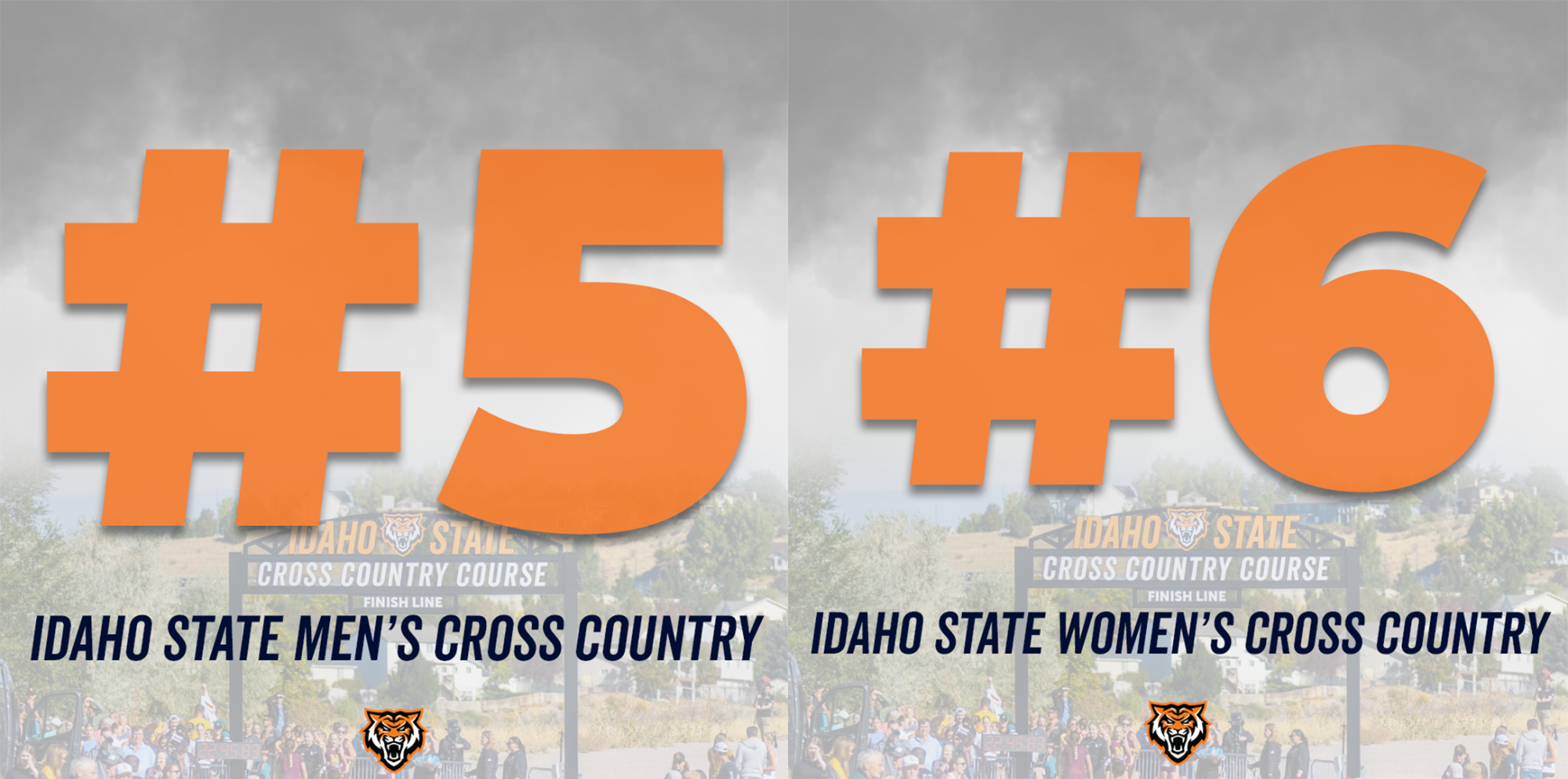 XC Polls