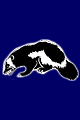 Opponent Logo
