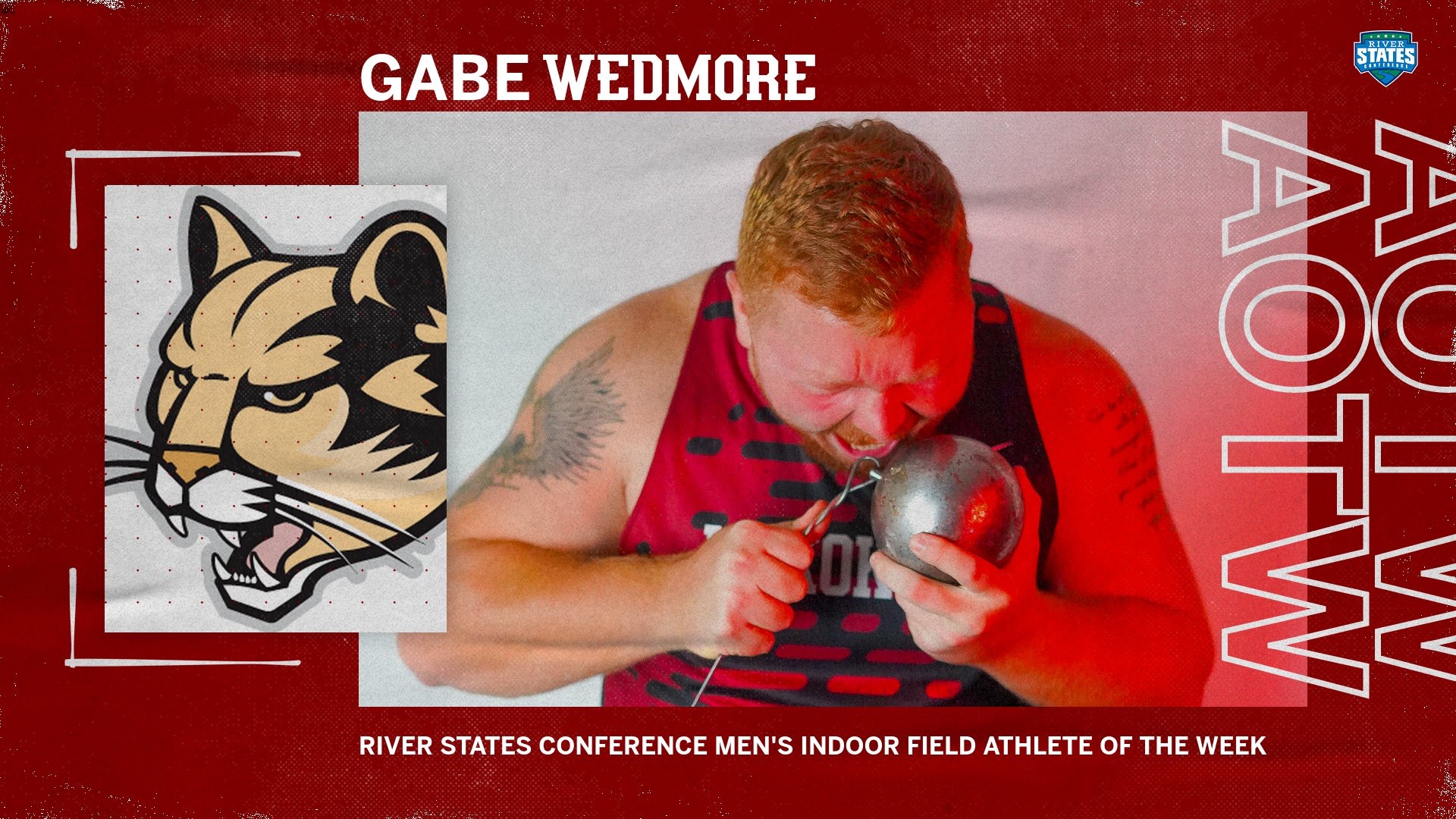 Wedmore AOTW