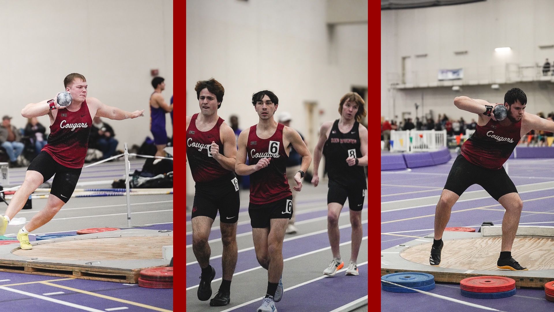 Gaylor, Stateler, I. Ireland