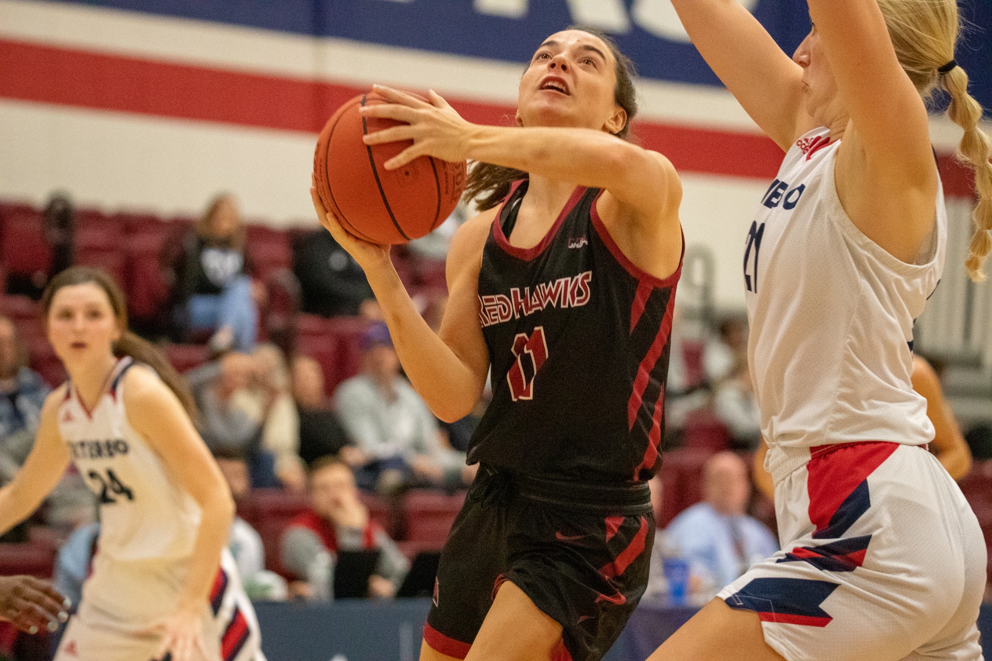 Women's Basketball Pulls Off Road Win, Beats 23 St. Francis Indiana