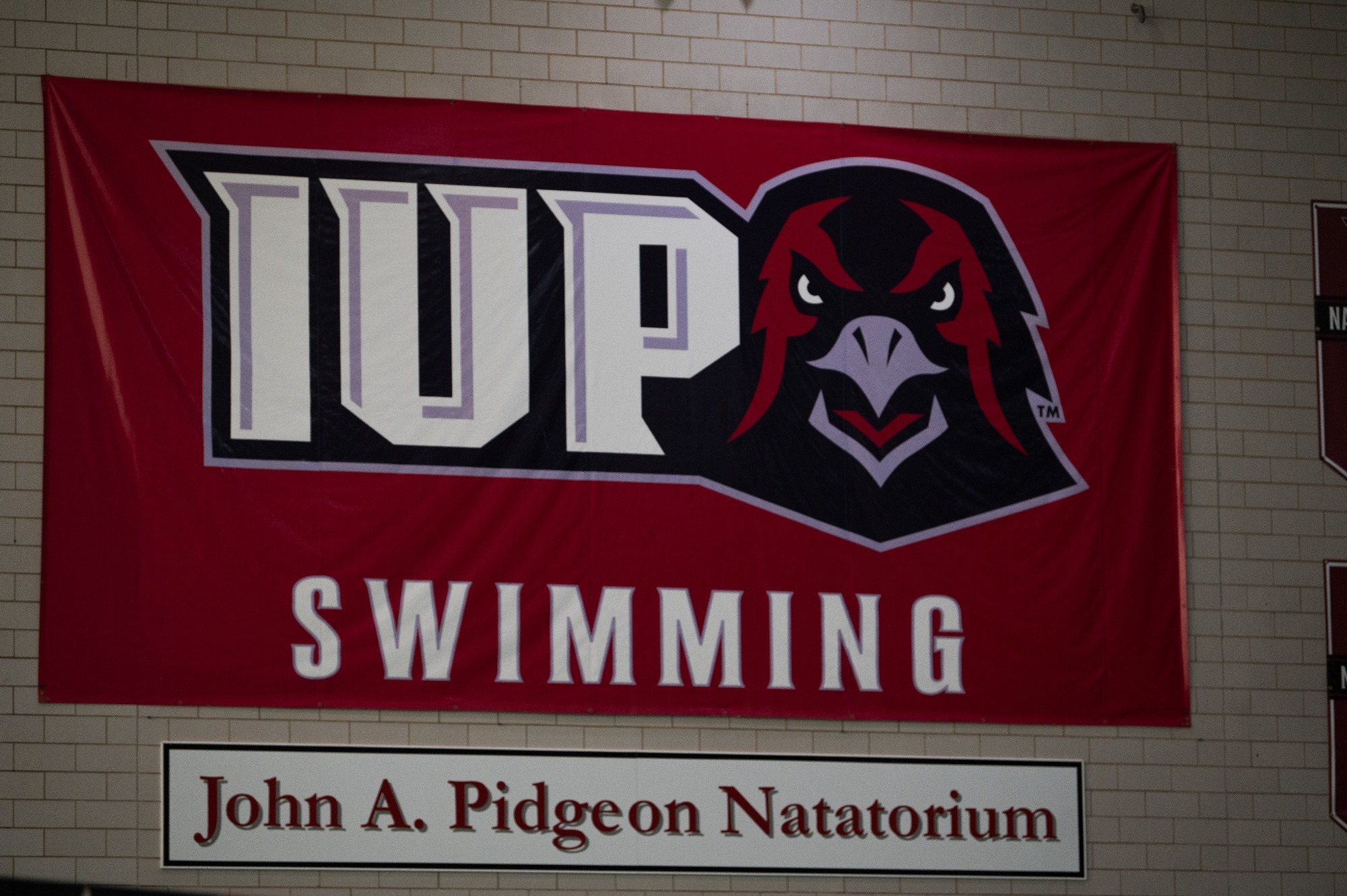 SWIM General 1920x1080 110823