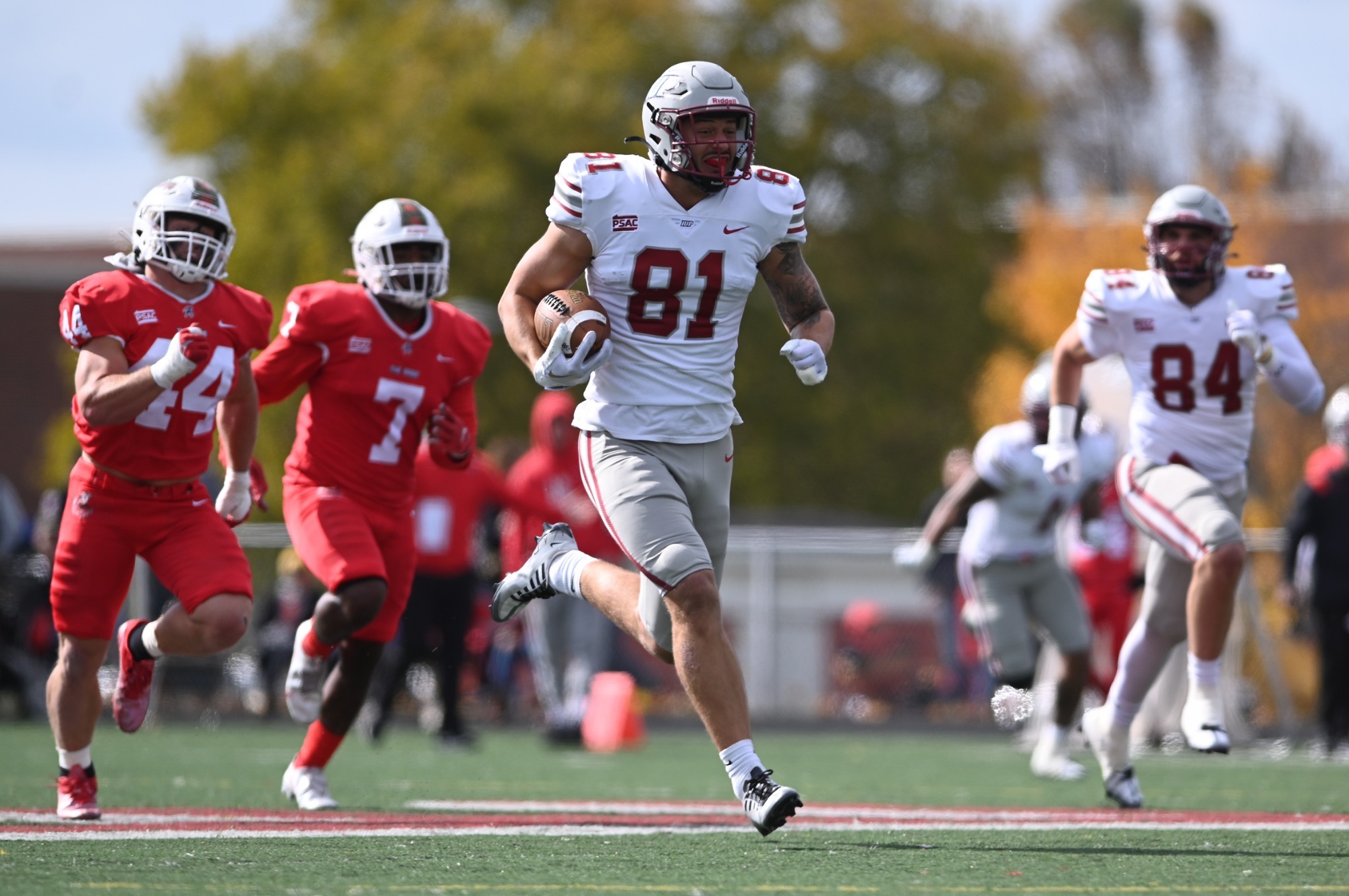 Cole Laney Football Indiana University of Pennsylvania Athletics