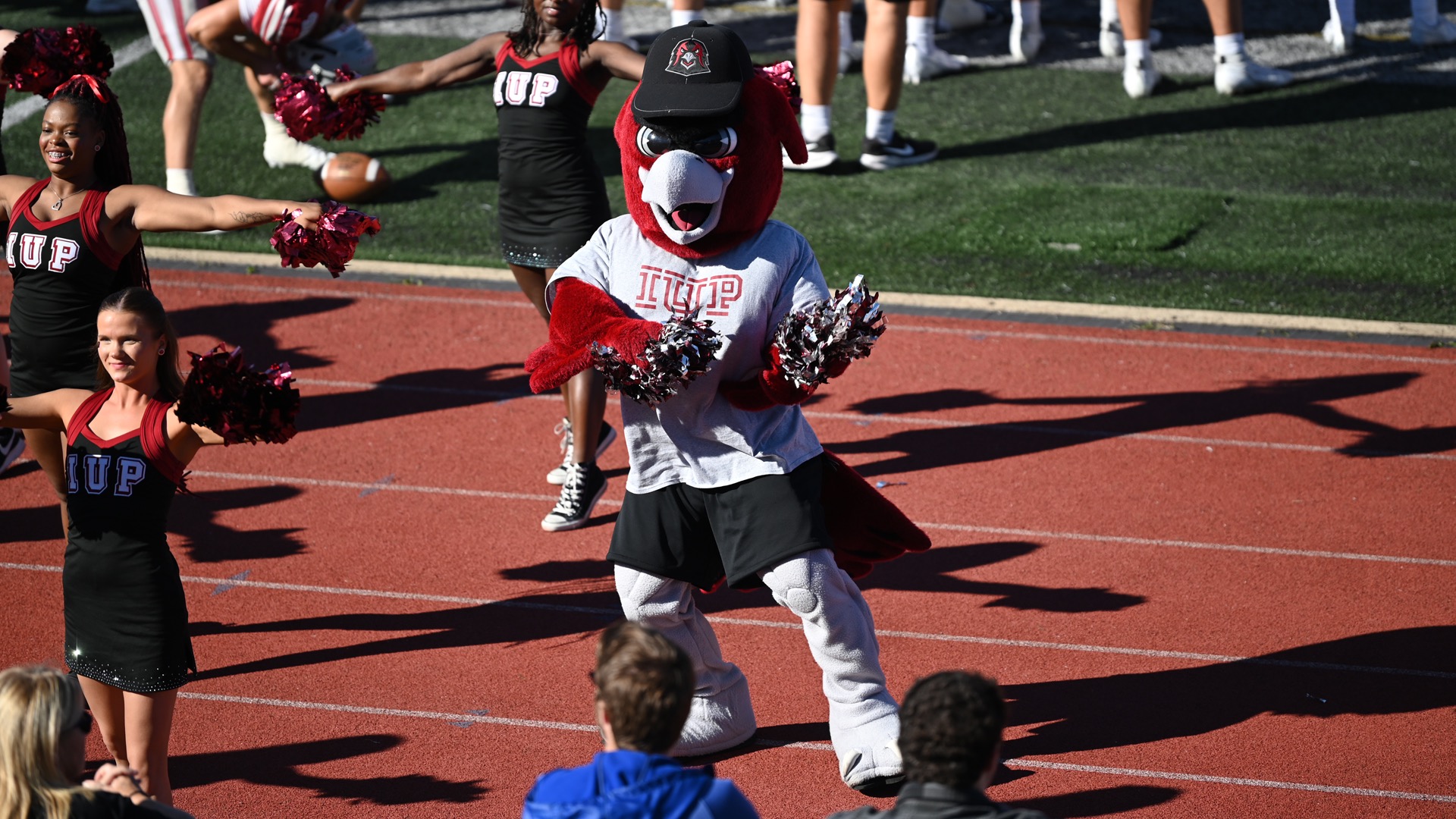 Norm 1920x1080 100924