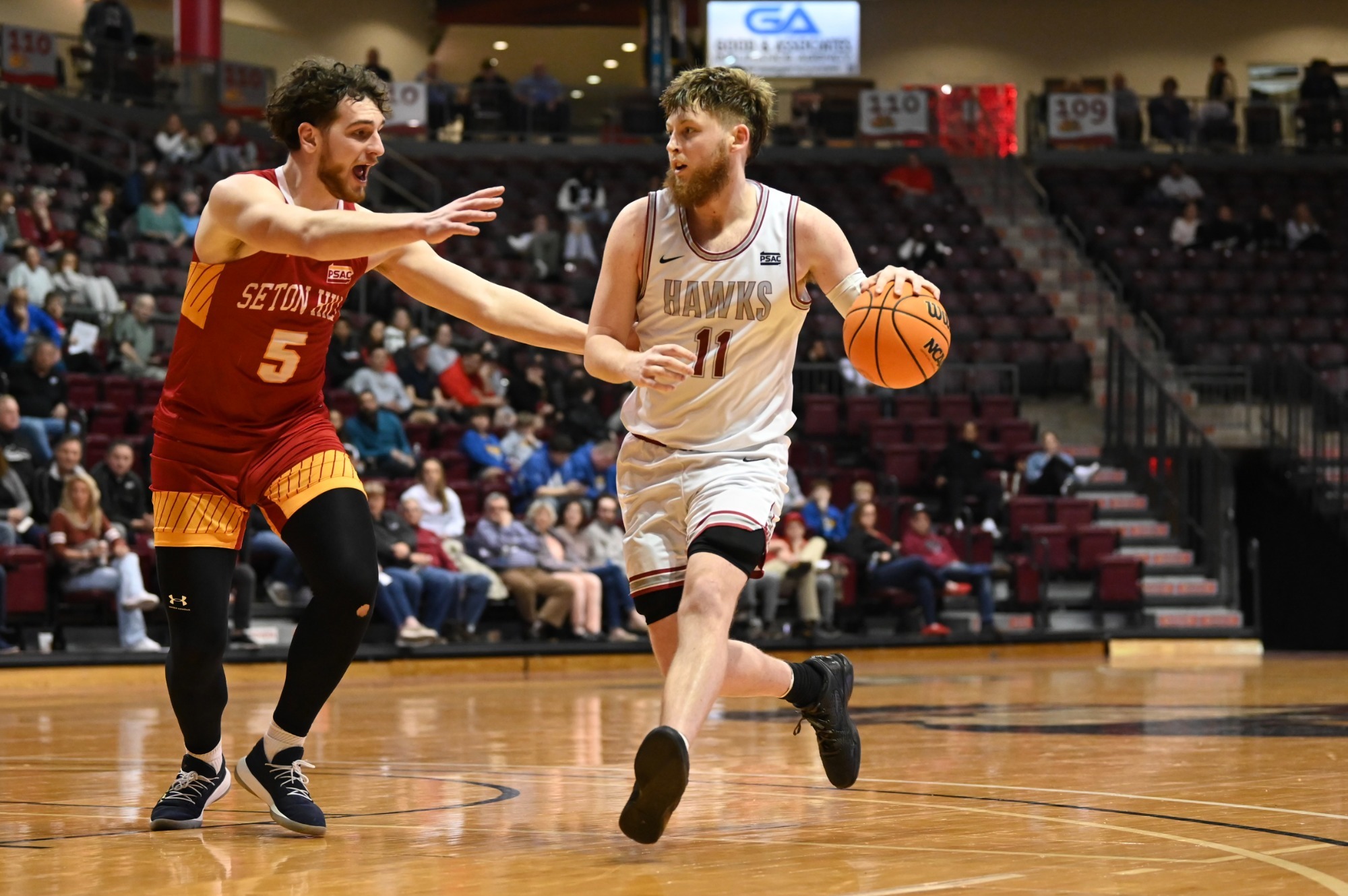 Seton Hill clips IUP men's basketball on Wednesday night Indiana