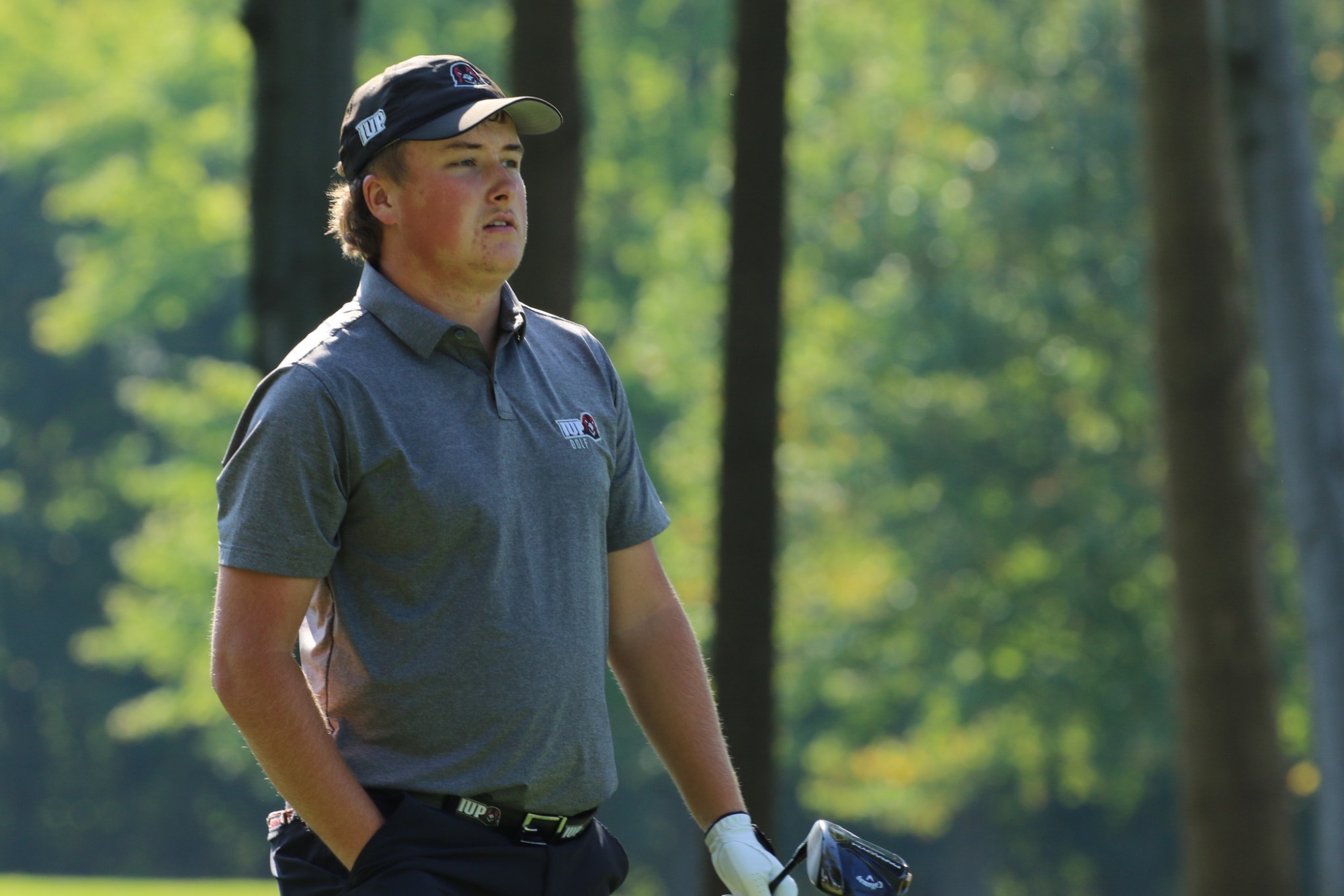 Gerue 1920x1080 091724