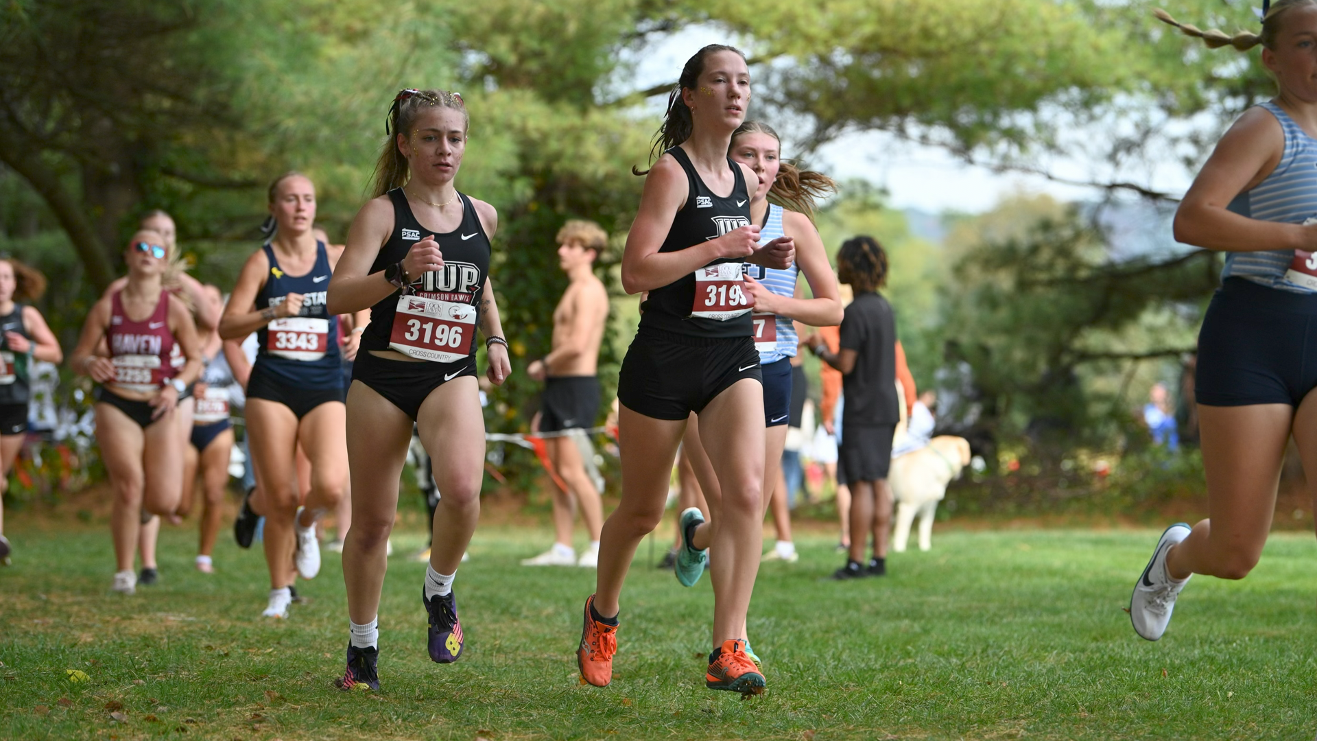 Katie McCormick Run