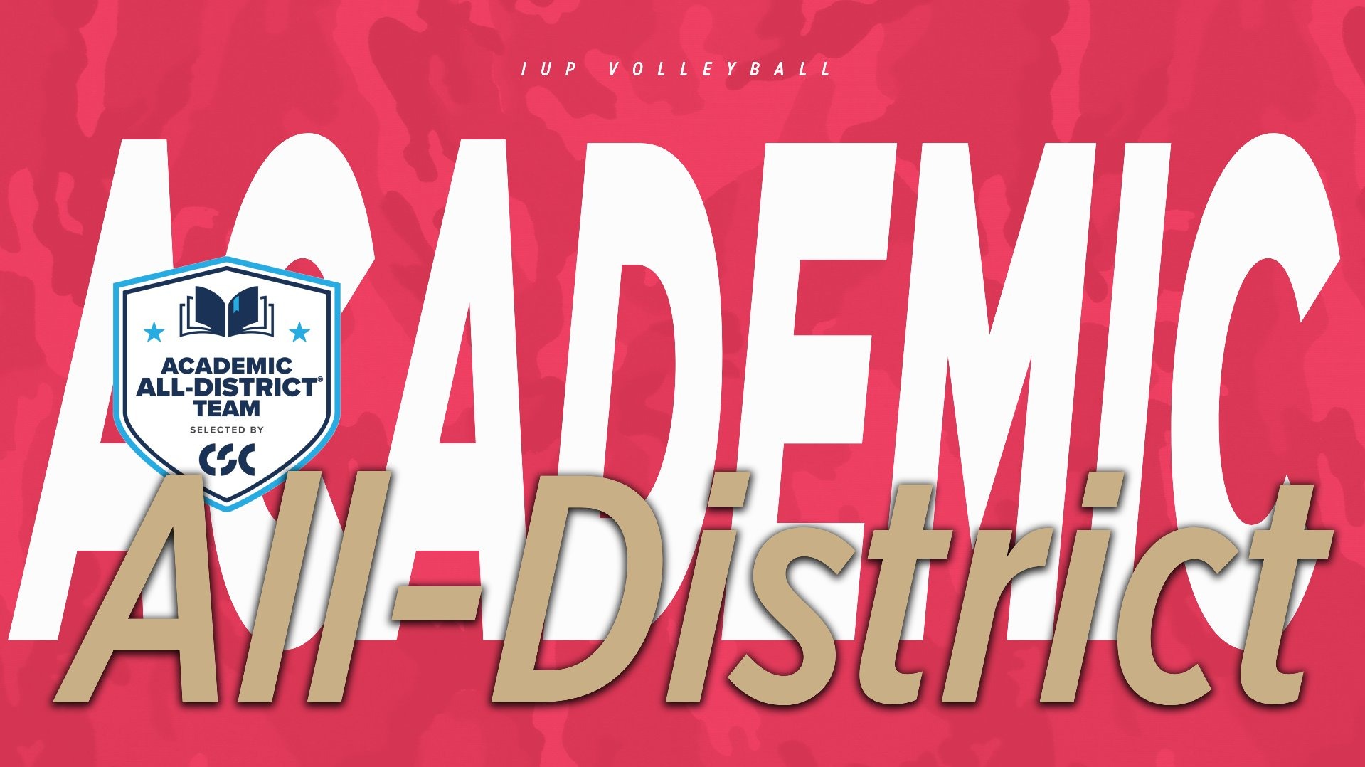 VBALL Academic All-District