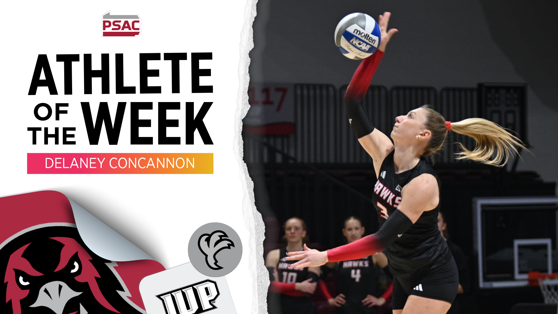 Concannon PSAAC AOTW 2