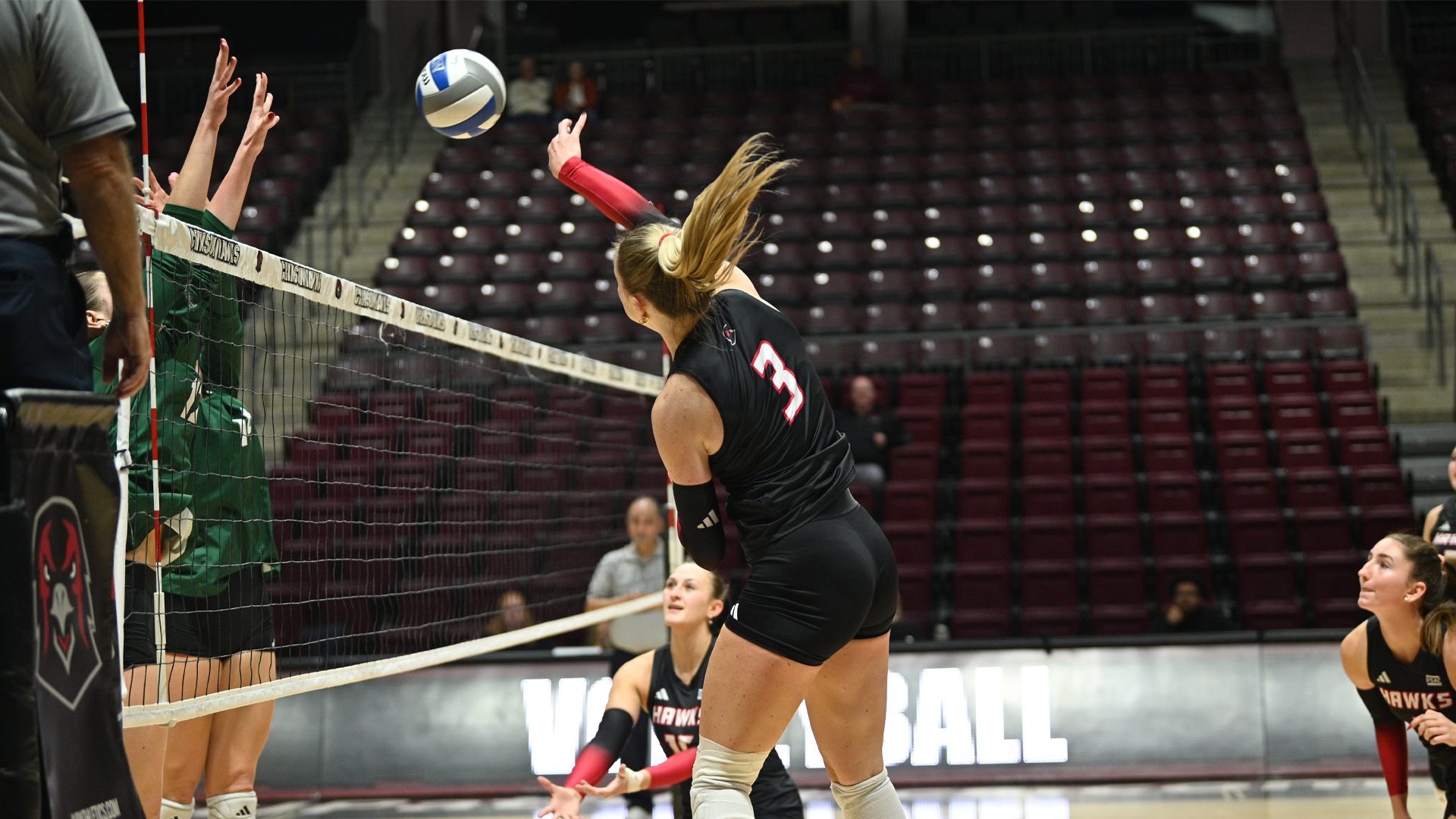 Delaney Concannon Attack