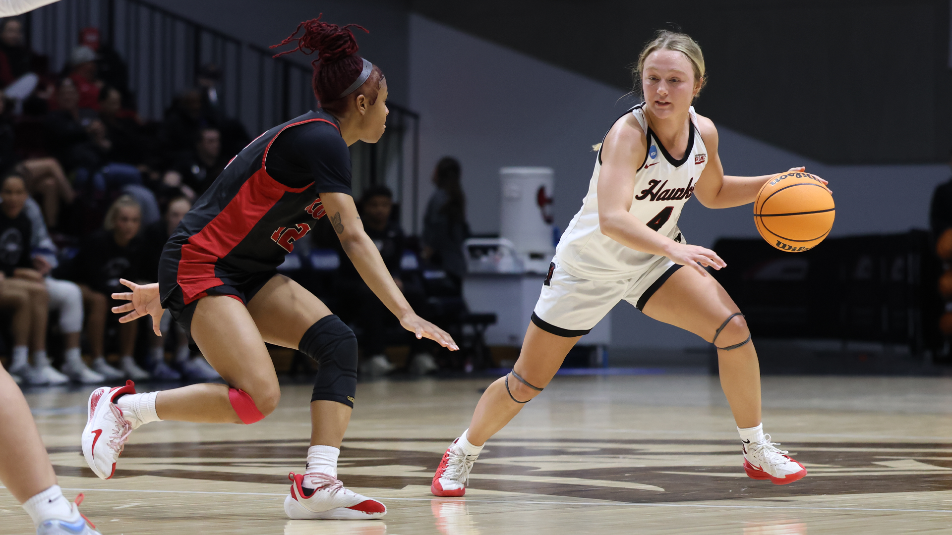 Marin Miller Dribble