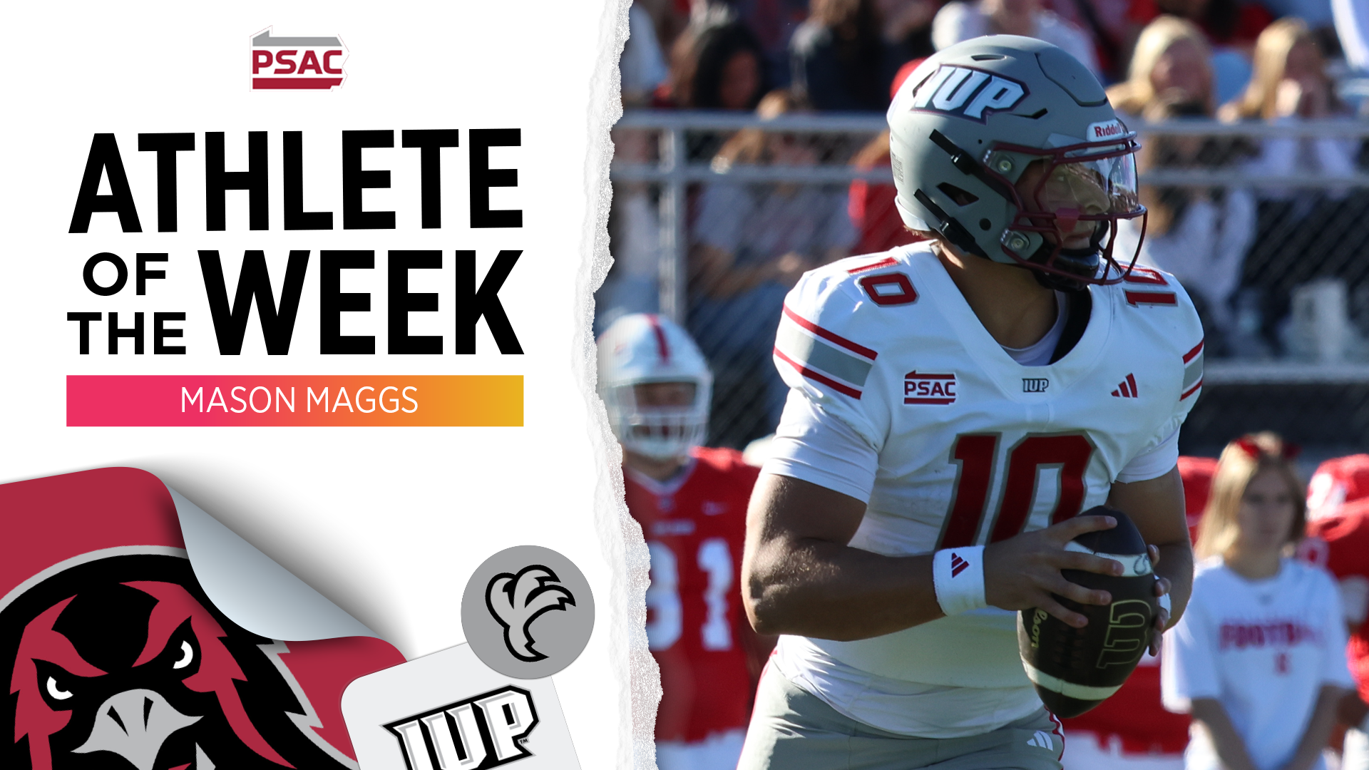 Maggs PSAC AOTW 10.5