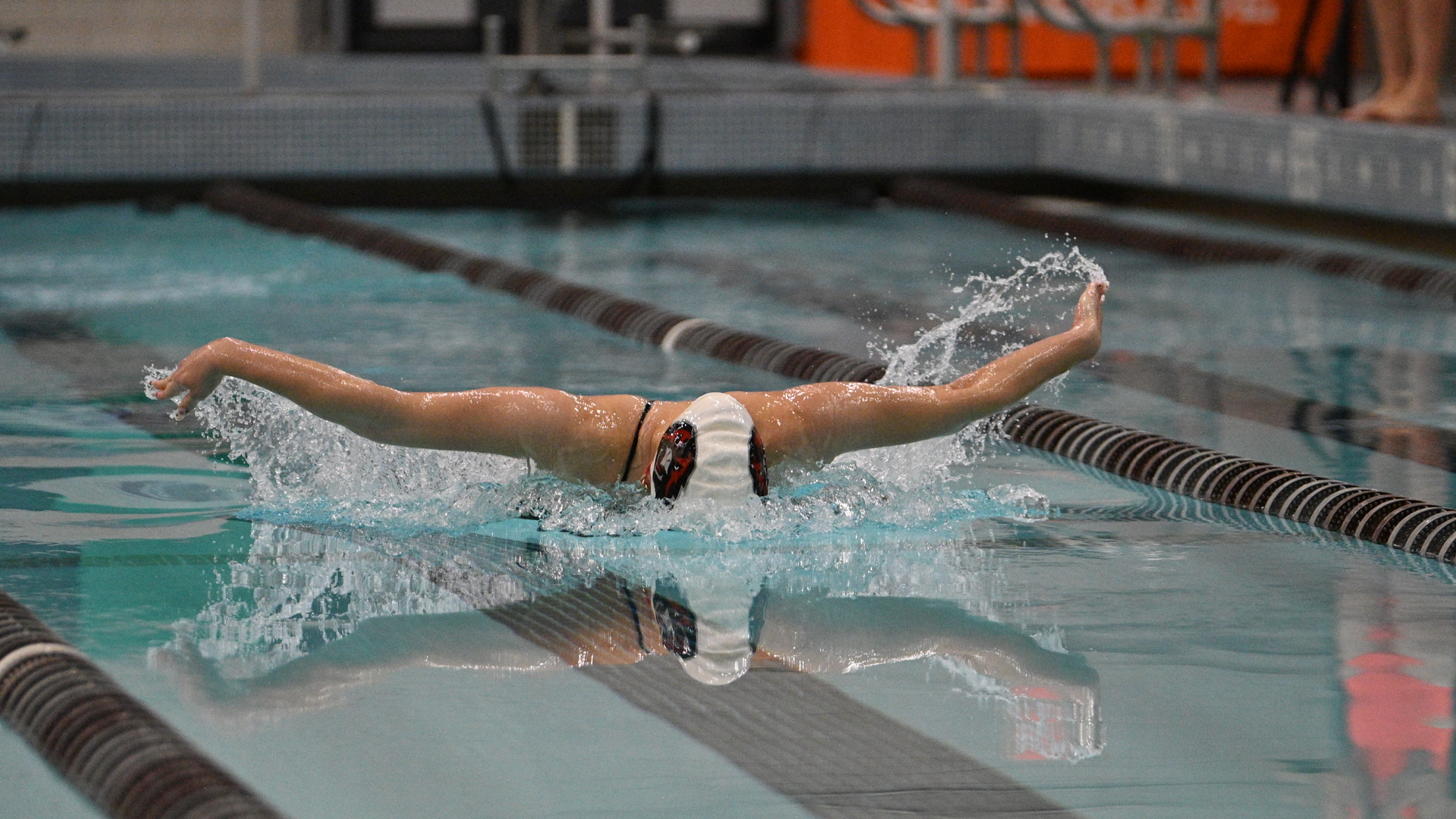 Natalie Noll Butterfly