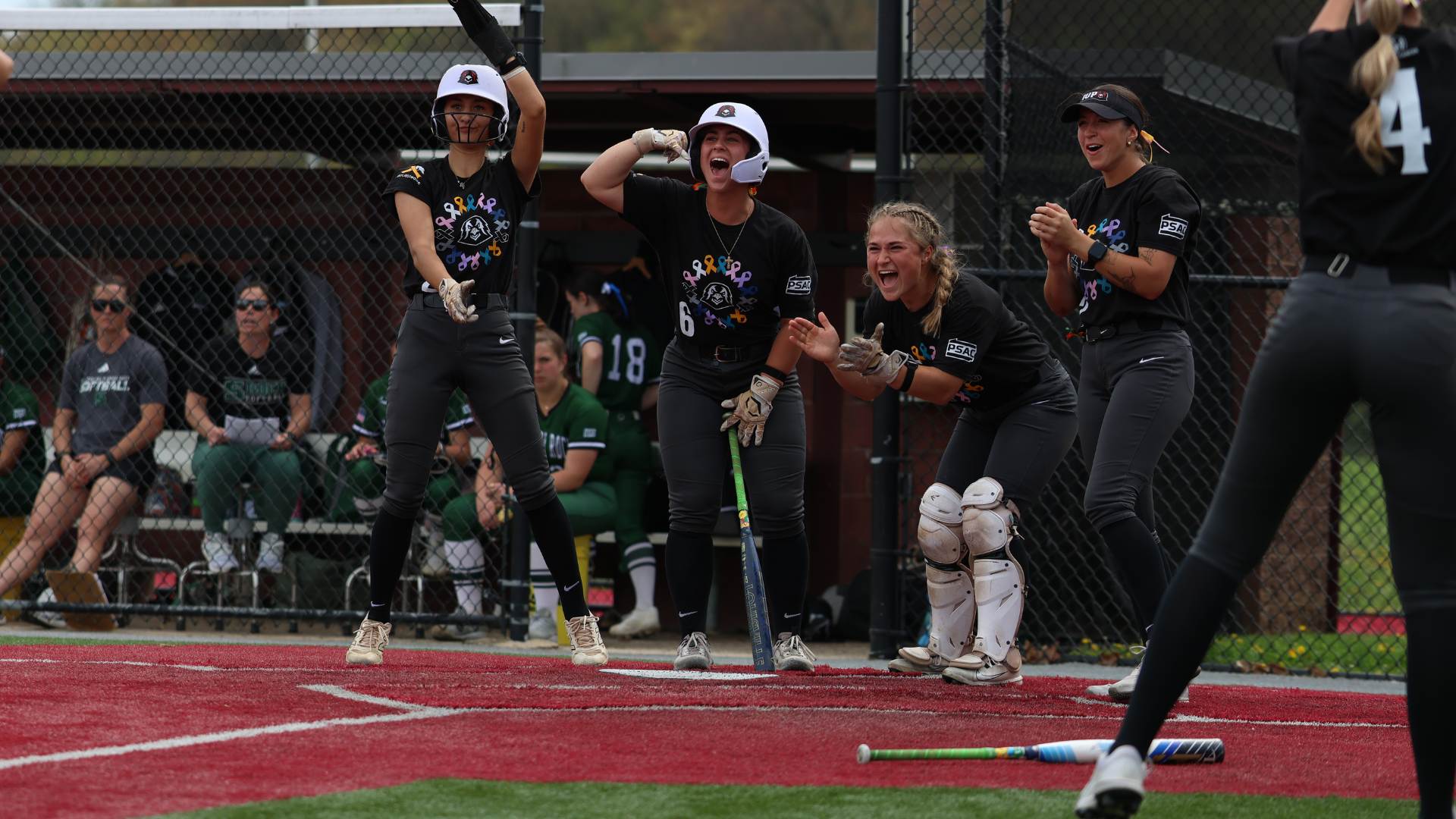 Softball Home Run VCelebration