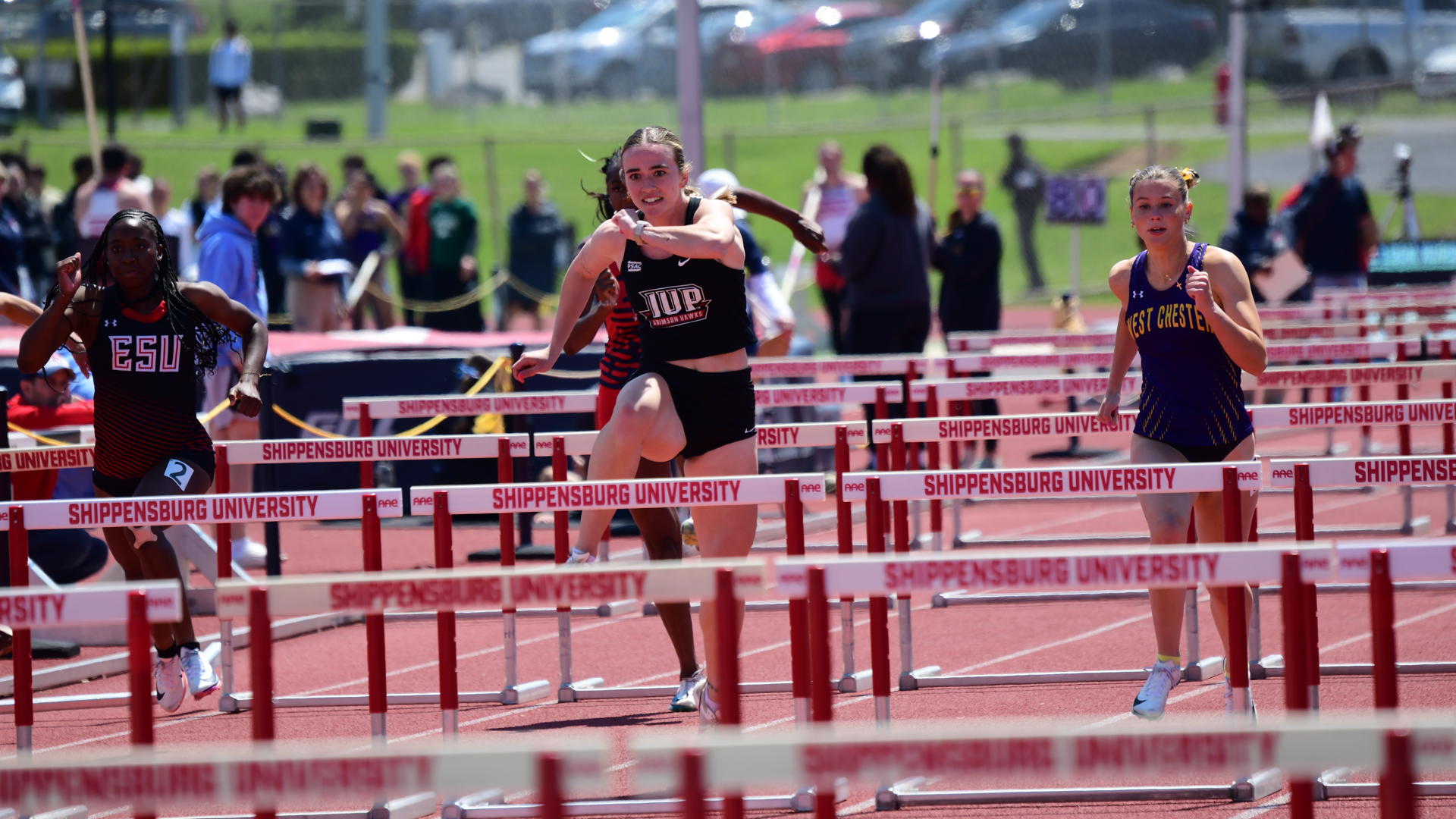 Bryna Kelly Hurdles