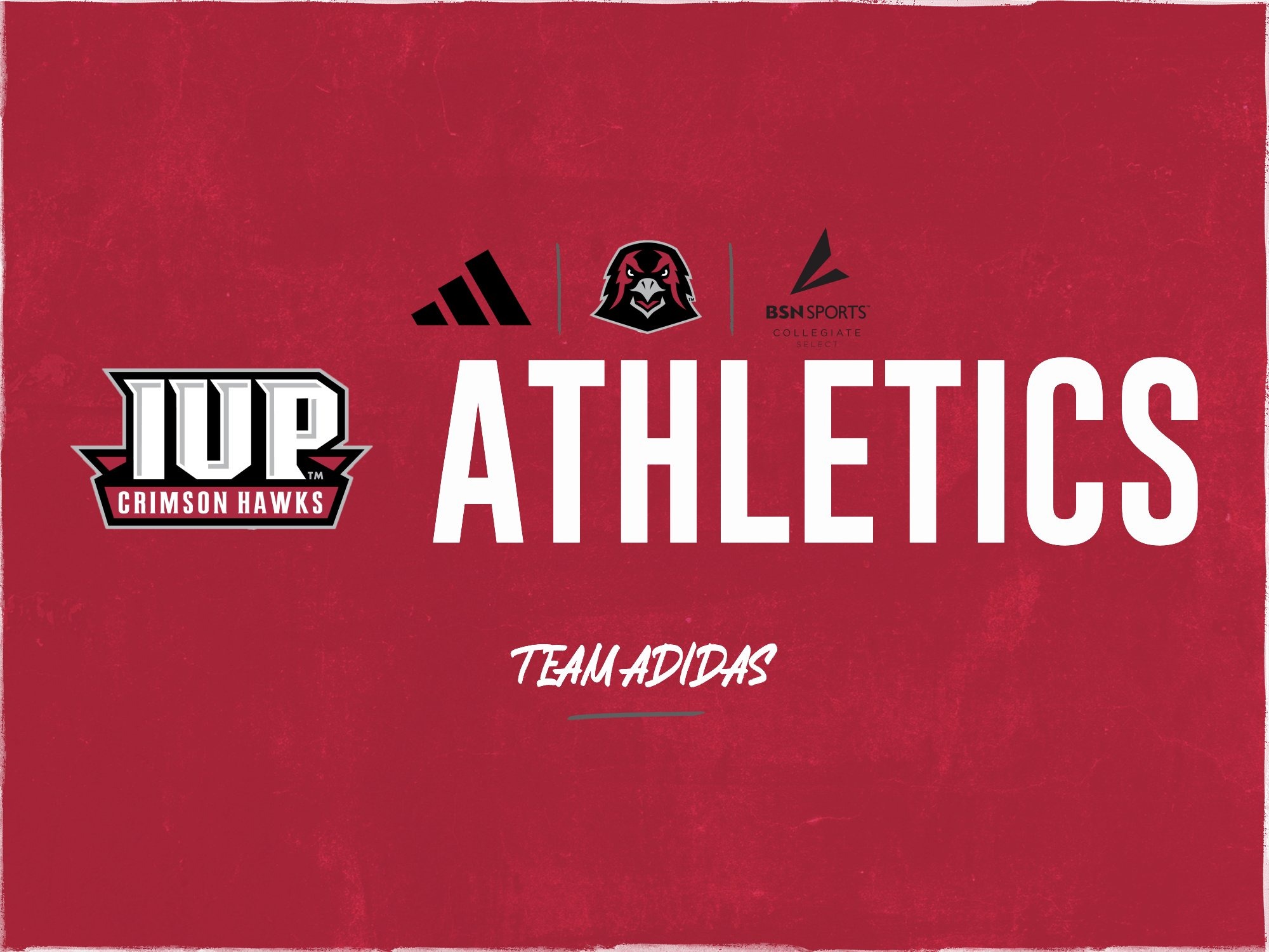 IUP Athletics Team Adidas