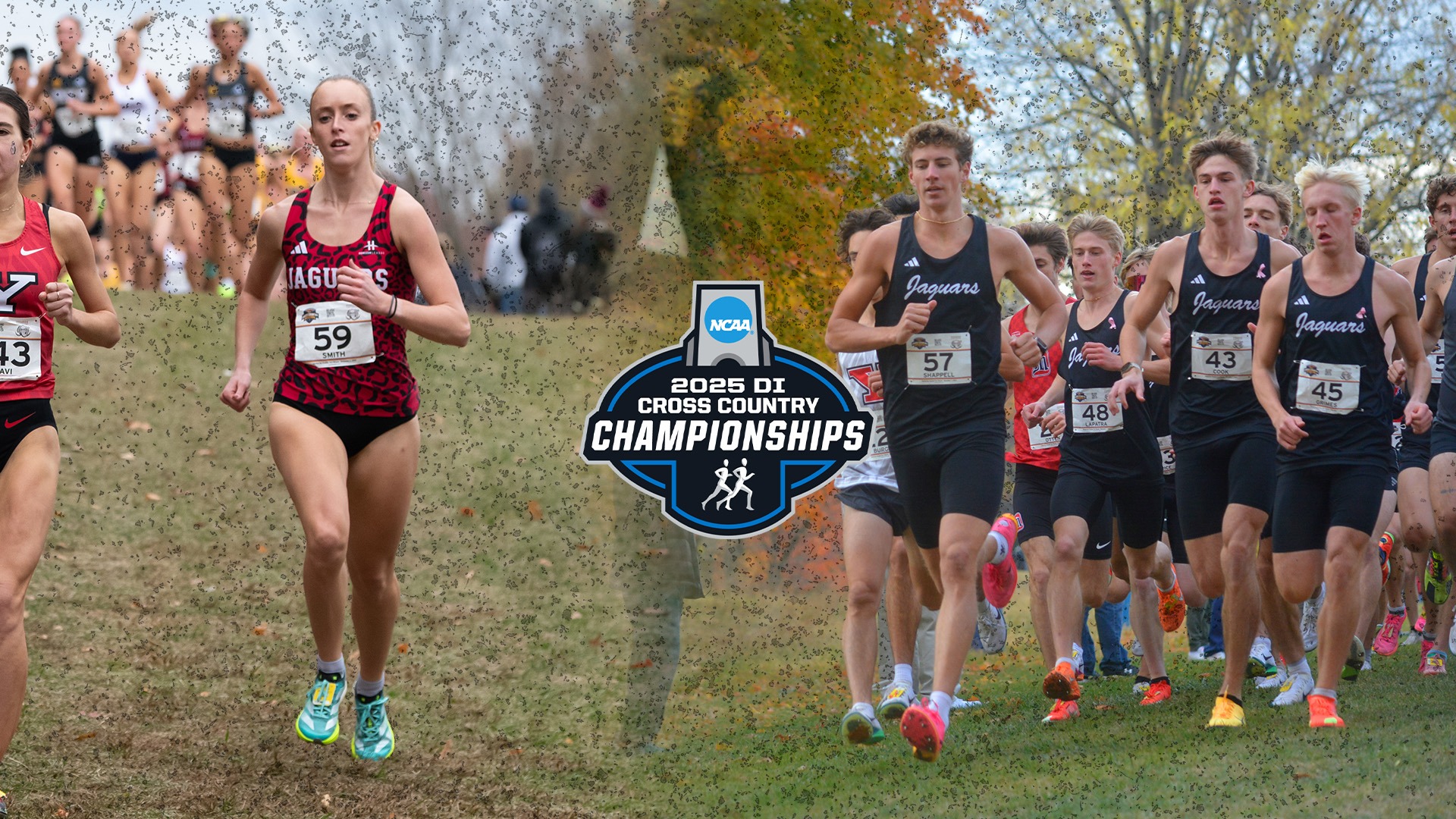 IU Indy Cross Country