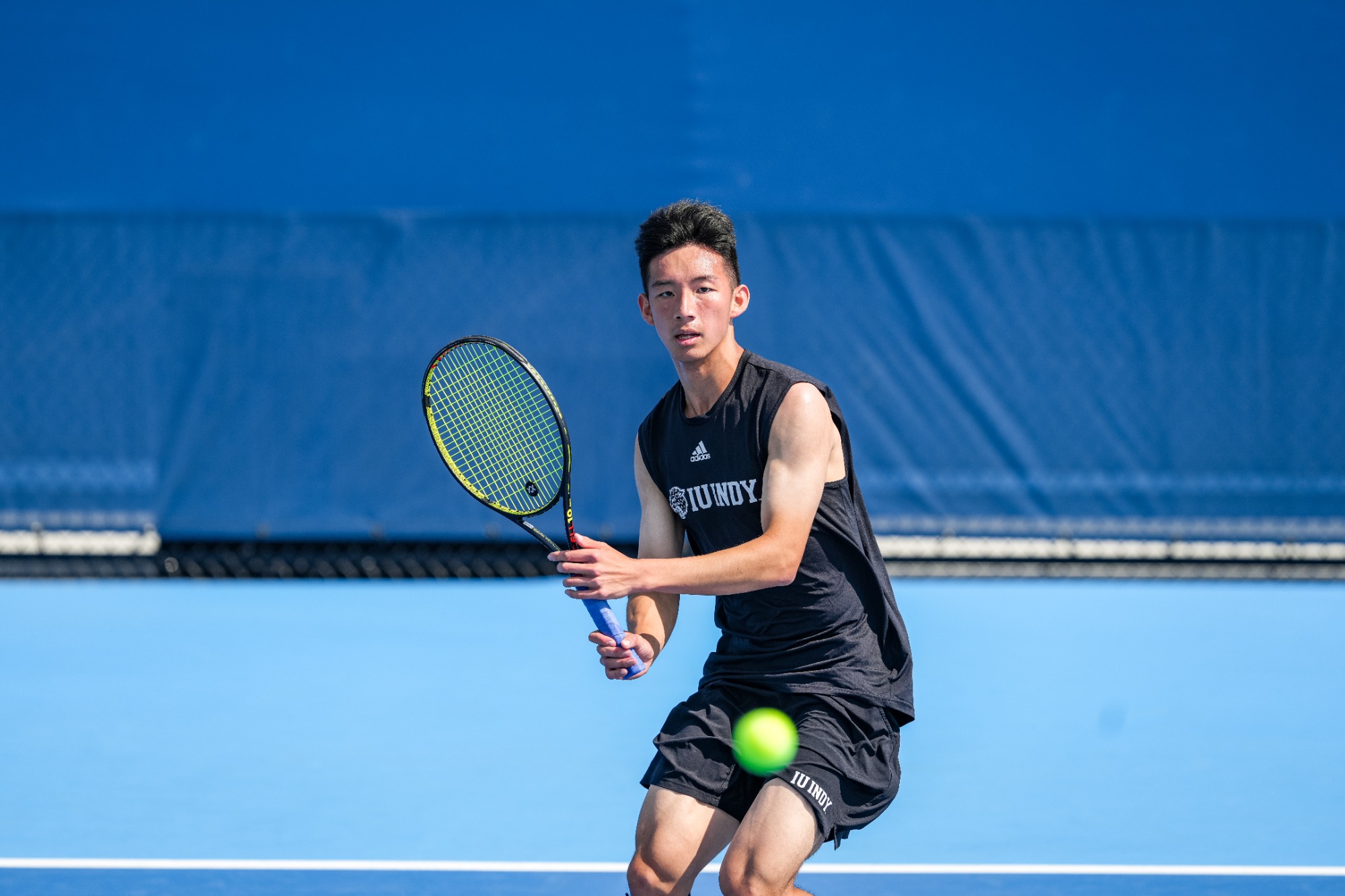 Owen Nguyen