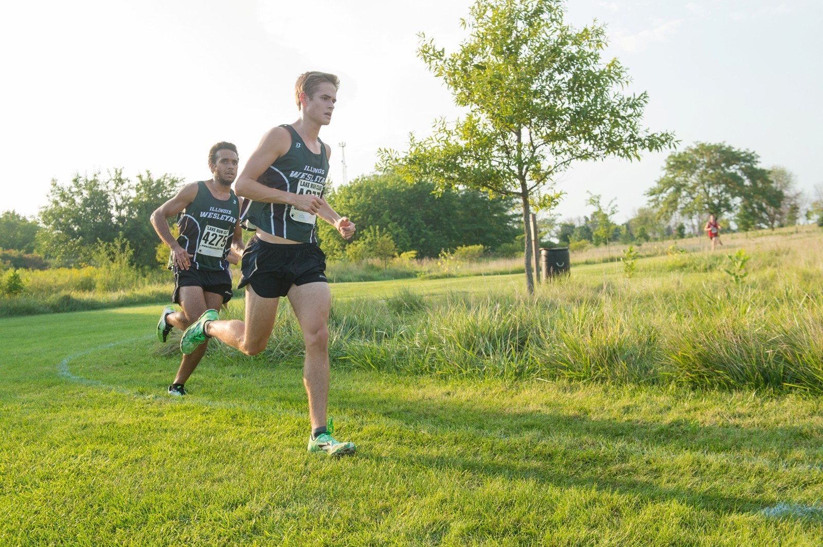 Danny Krob 2015 Men's Cross Country Illinois Wesleyan University