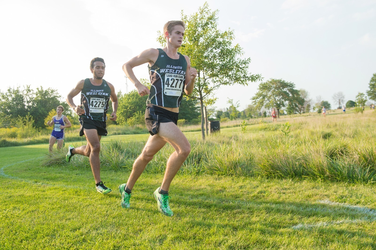 Danny Krob 2015 Men's Cross Country Illinois Wesleyan University