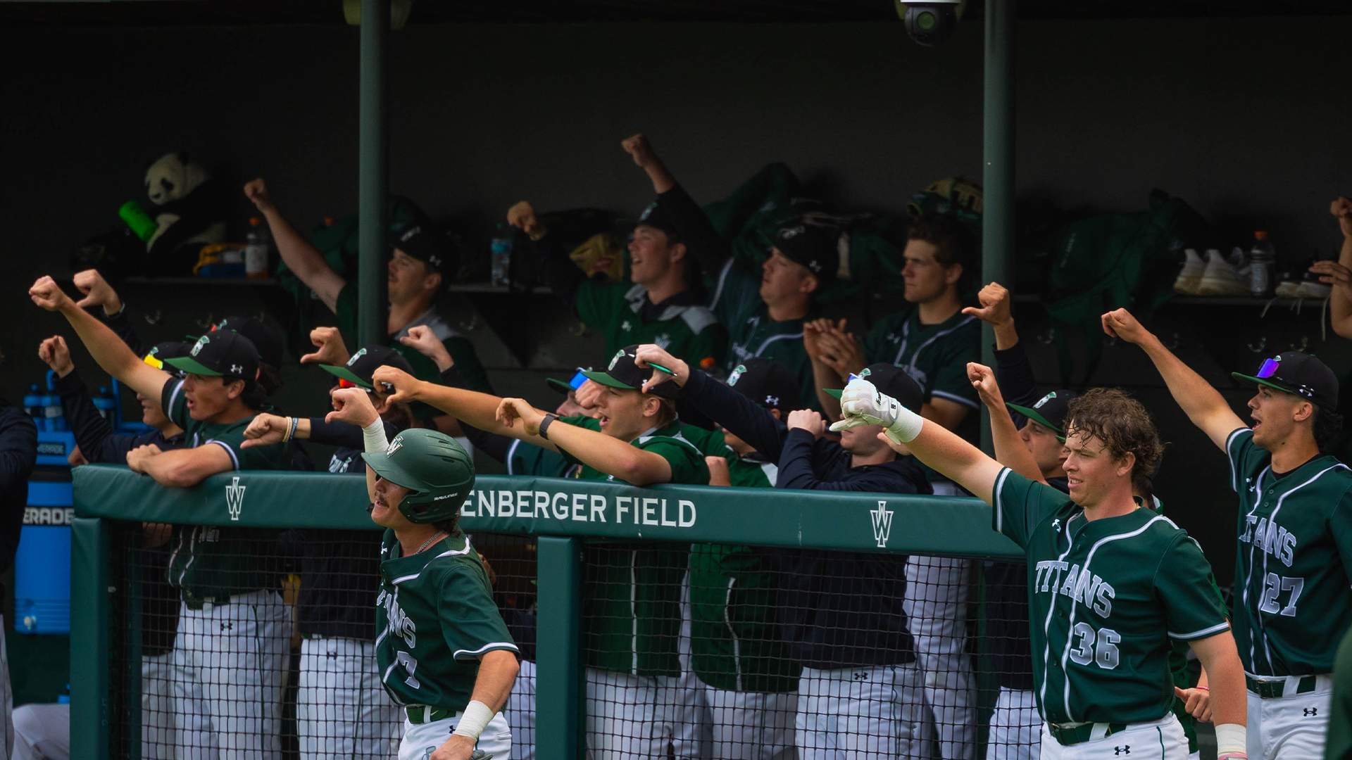 Baseball celebration