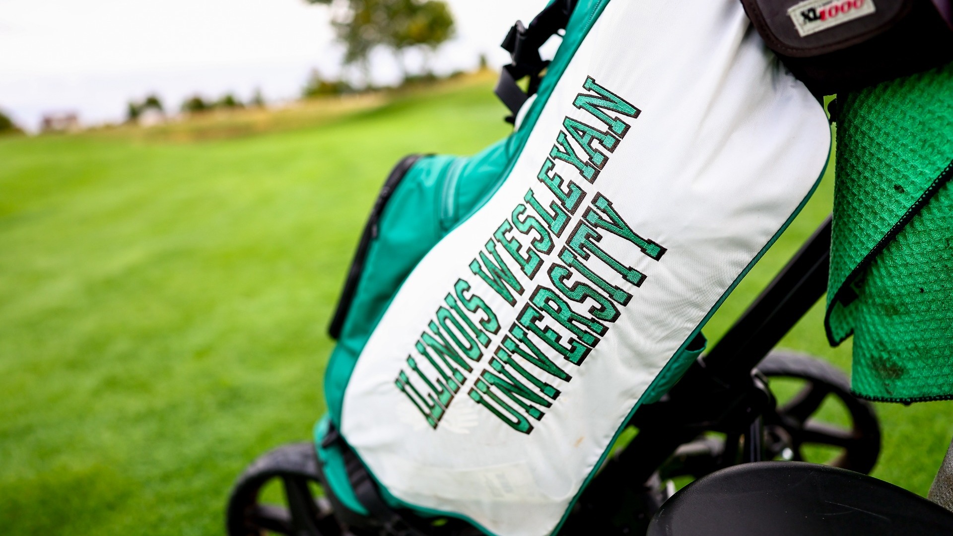 Illinois Wesleyan University golf bag