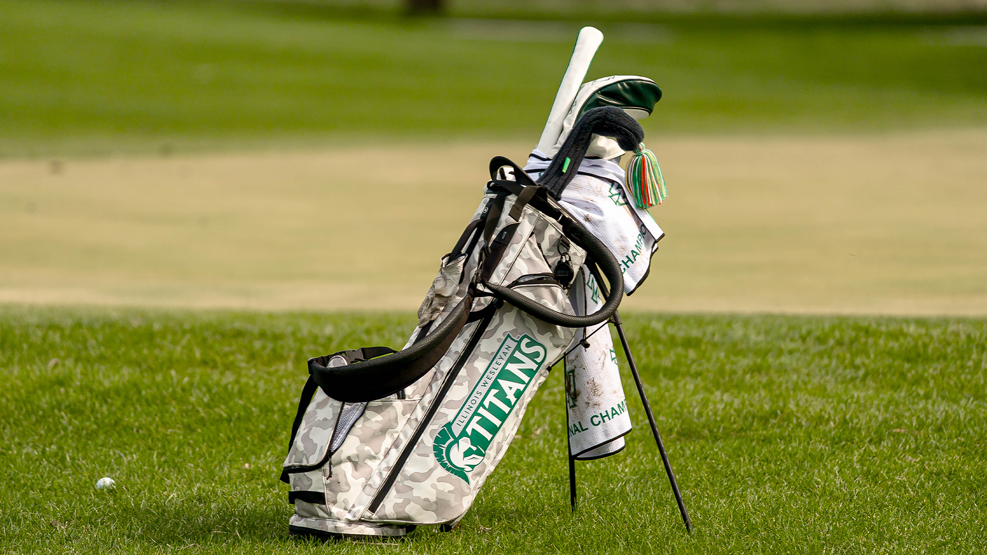 Men's Golf Bag Stock Photo 2026