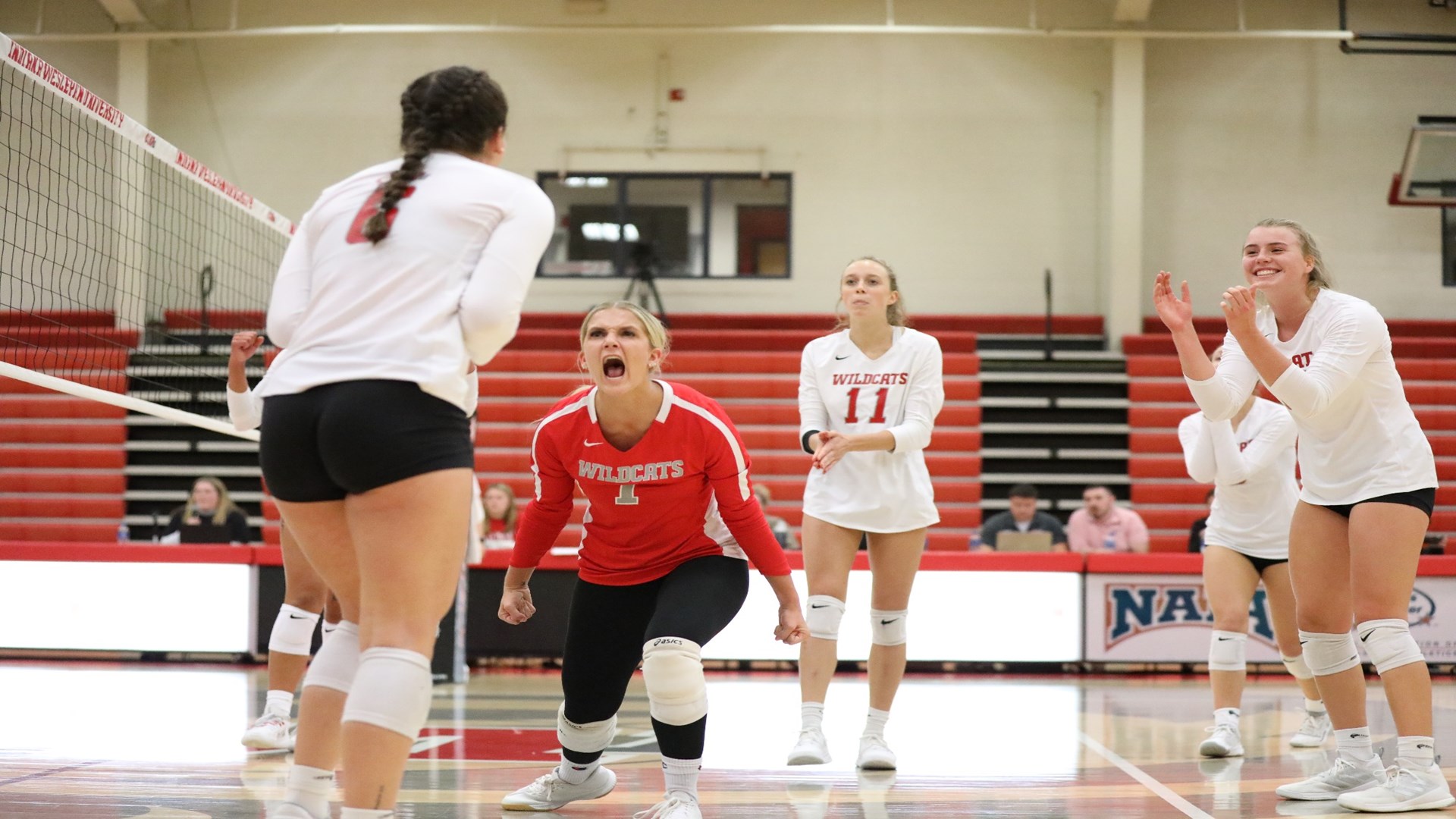 NO. 12 VOLLEYBALL PICKS UP 30 VICTORY OVER SAINT FRANCIS Indiana