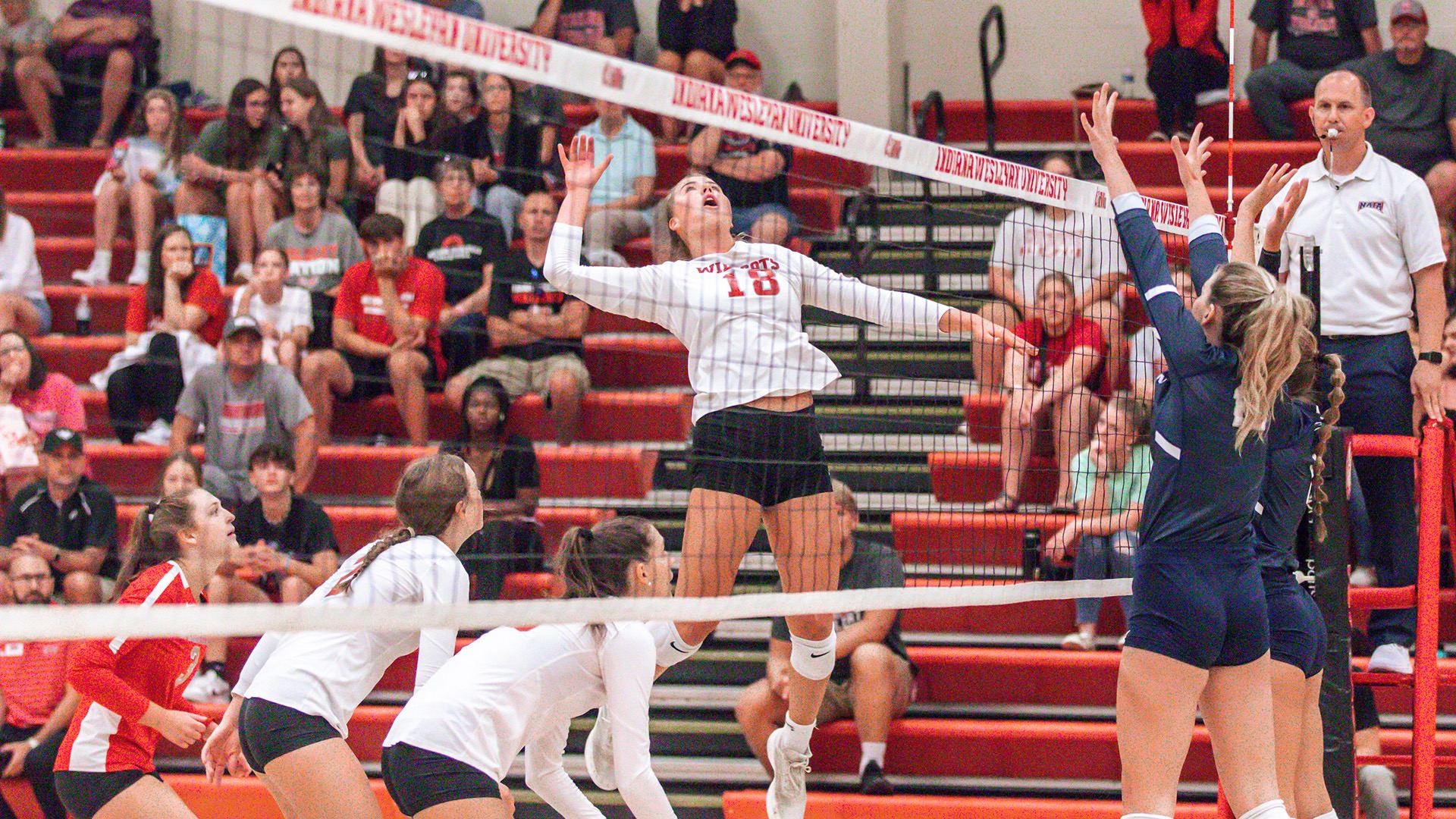 JOLDERSMA AND PORTER EARN NAIA PLAYER OF THE YEAR HONORS; MOATS NAMED