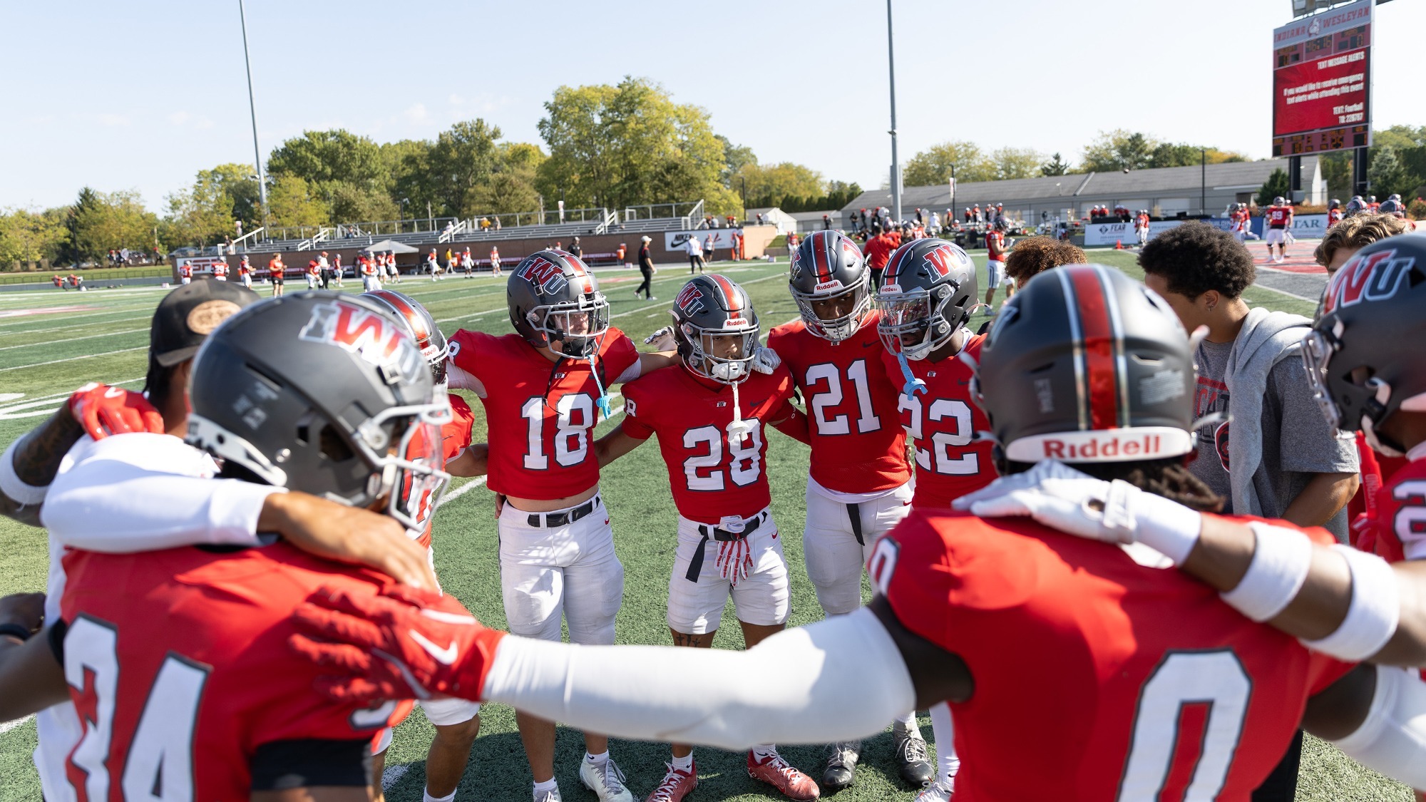 Madonna Preview Crop