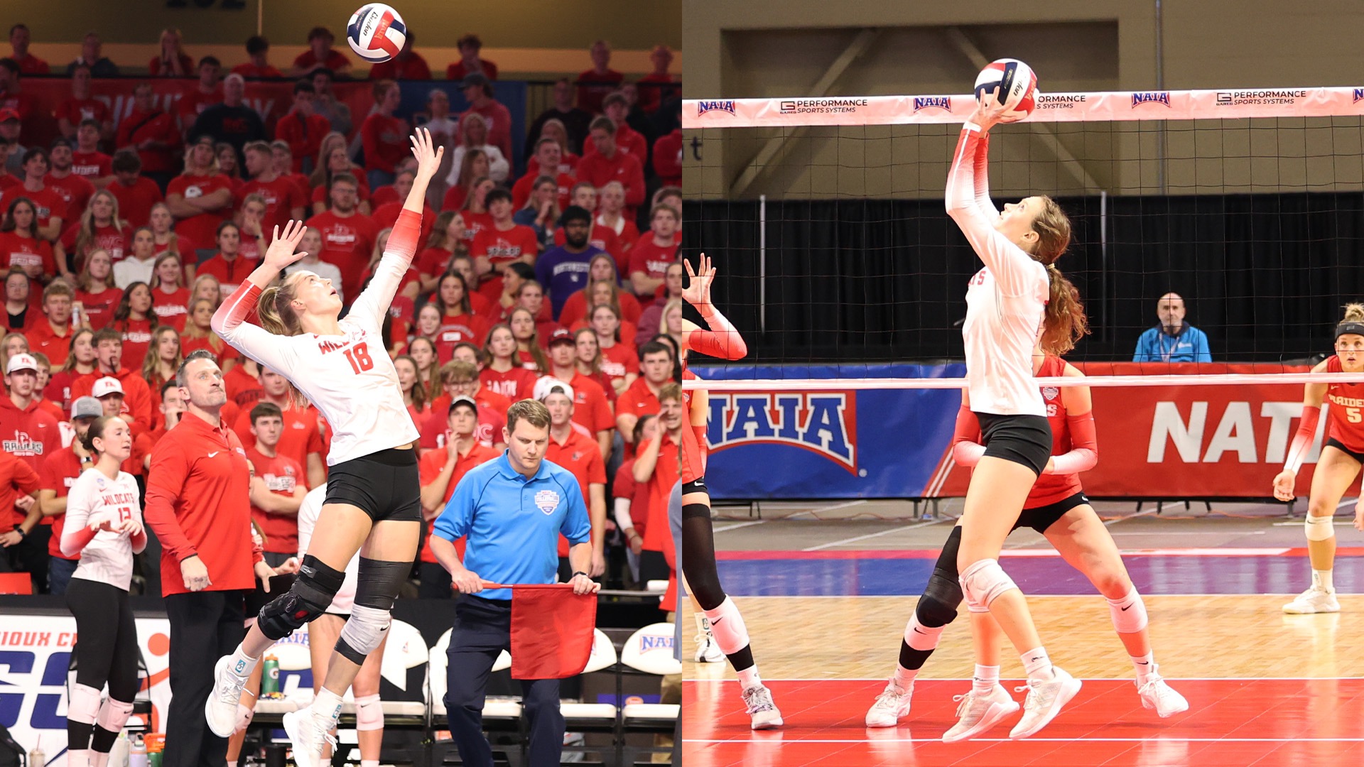 Joldersma and Porter CSC