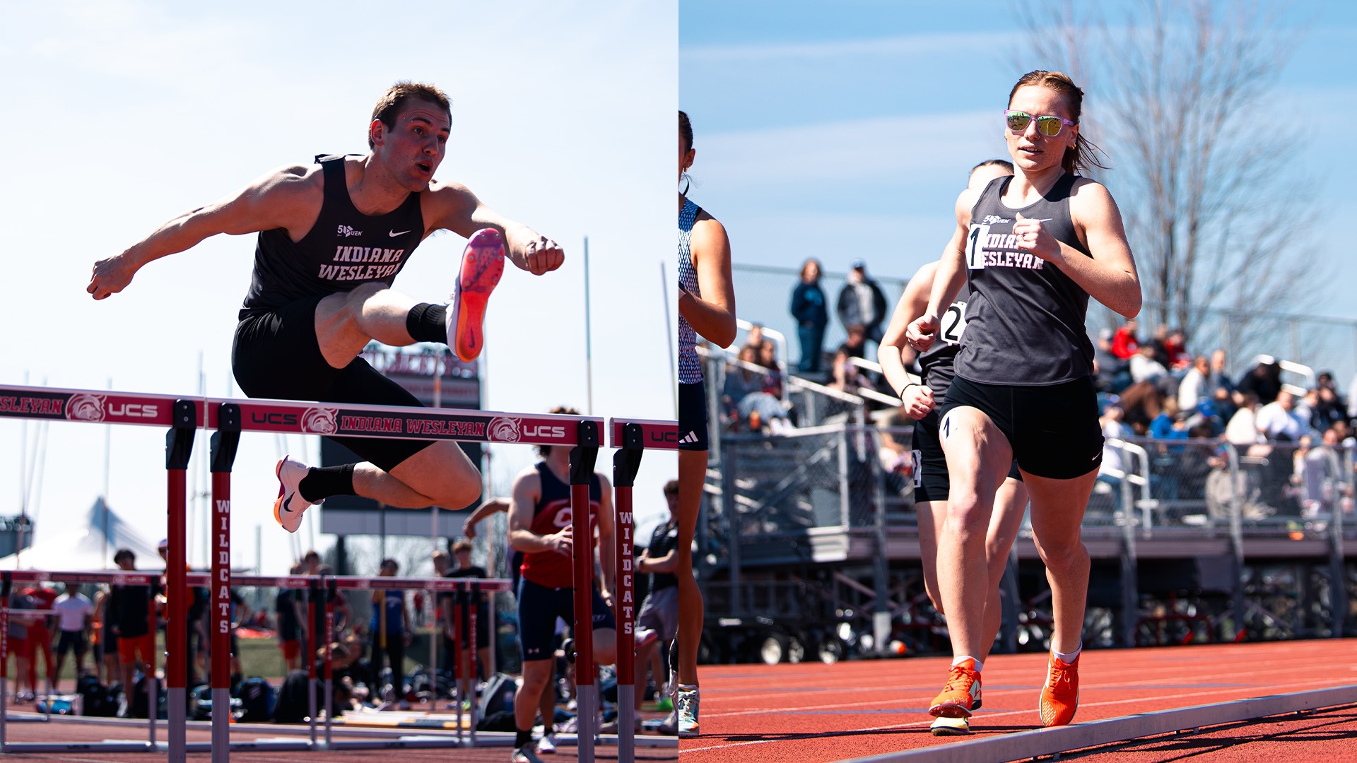 T&F Marian Invite Artboard 1