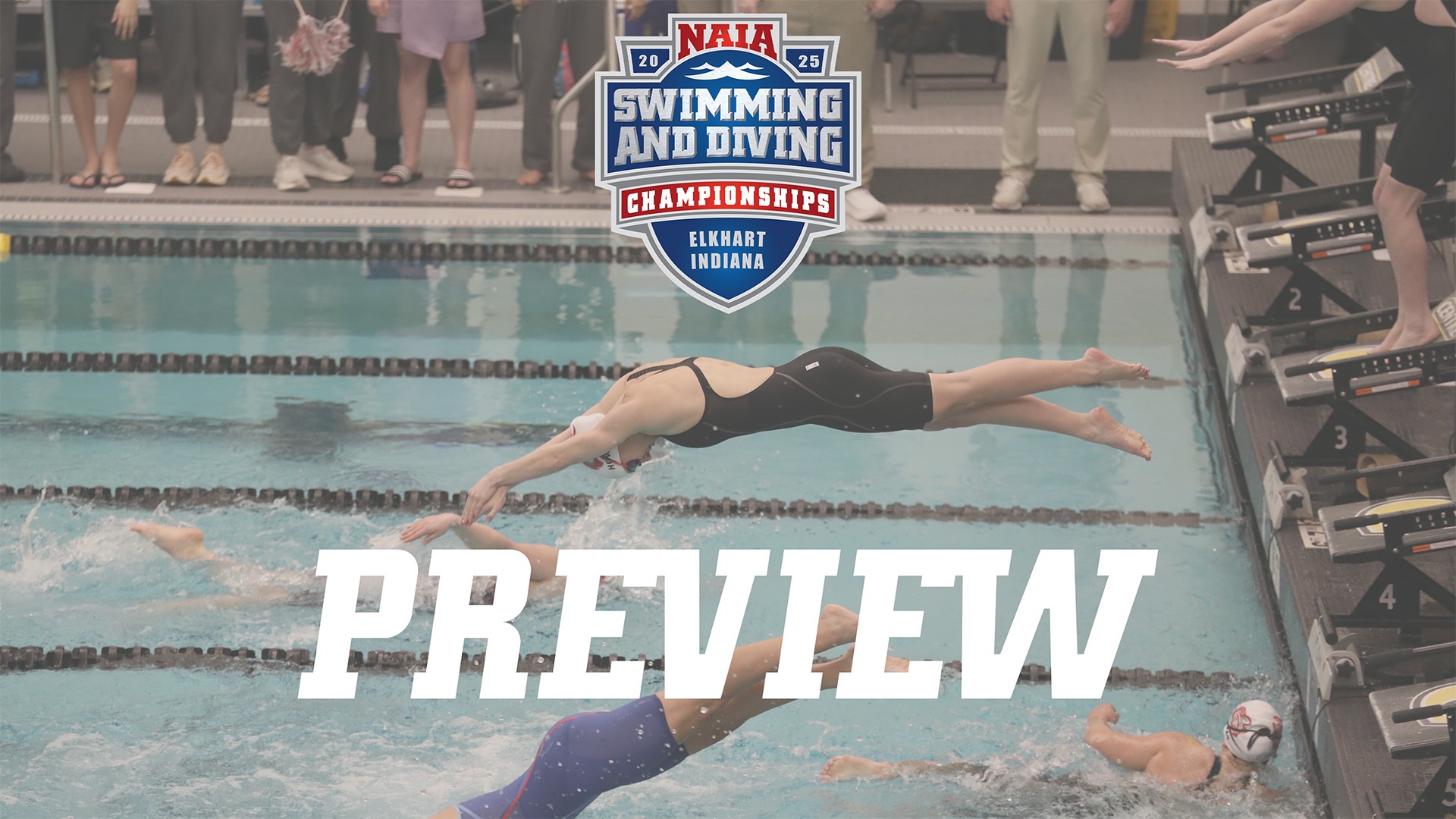 Swim Preview