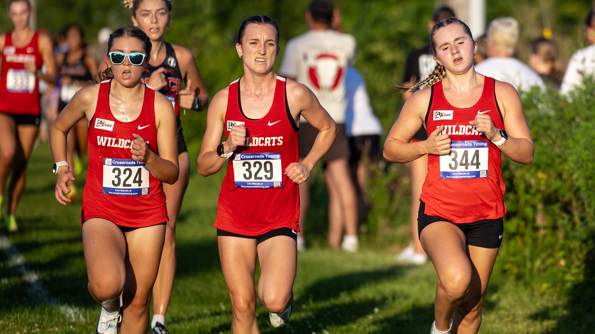 WXC Twilight Cover