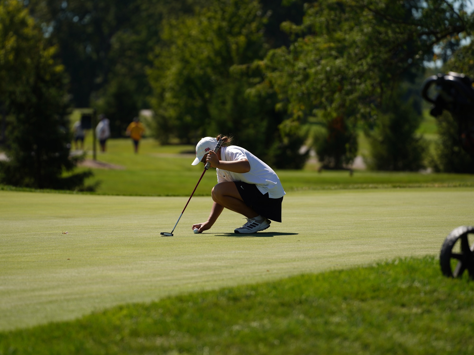 Wildcat Invitational 9-8-26