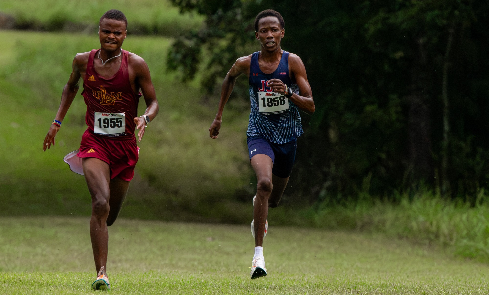 ACHAU_RYAN_WARHAWK_INVITATIONAL