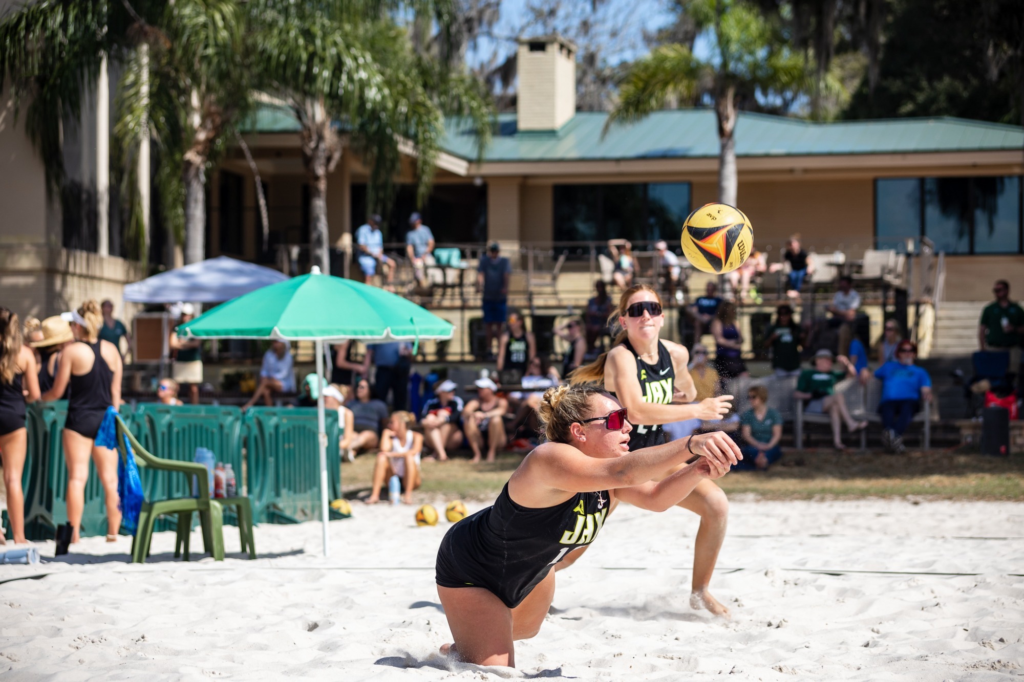 Dolphins Conclude Jacksonville Invitational Jacksonville University