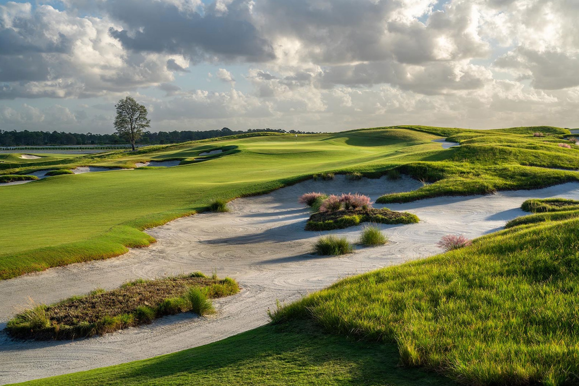 Panther National Golf Course