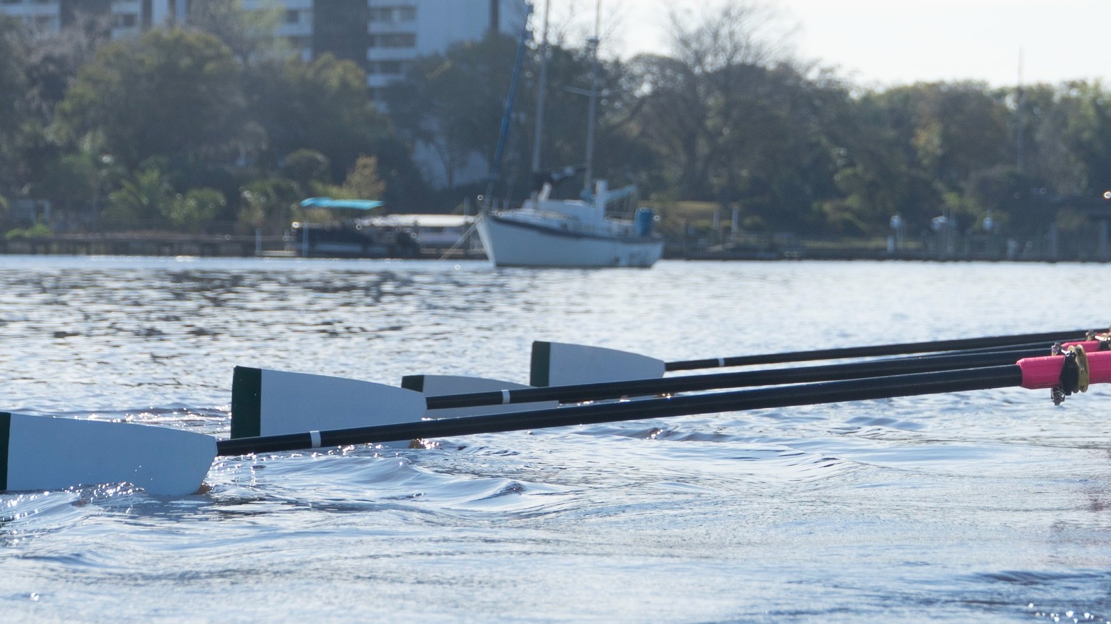 JU WROW Stock Photo (2025)