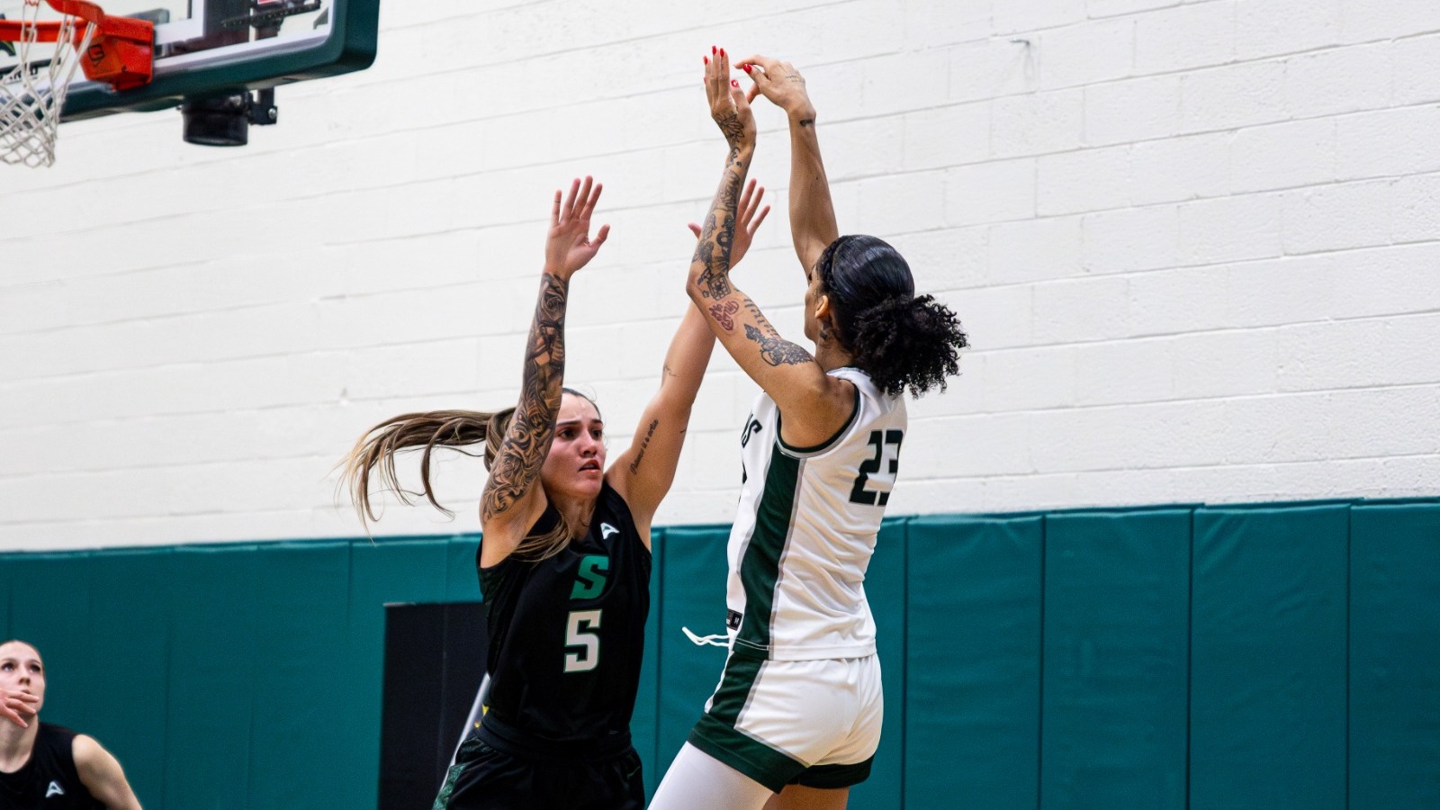 WBB vs. Stetson 2 (2026)