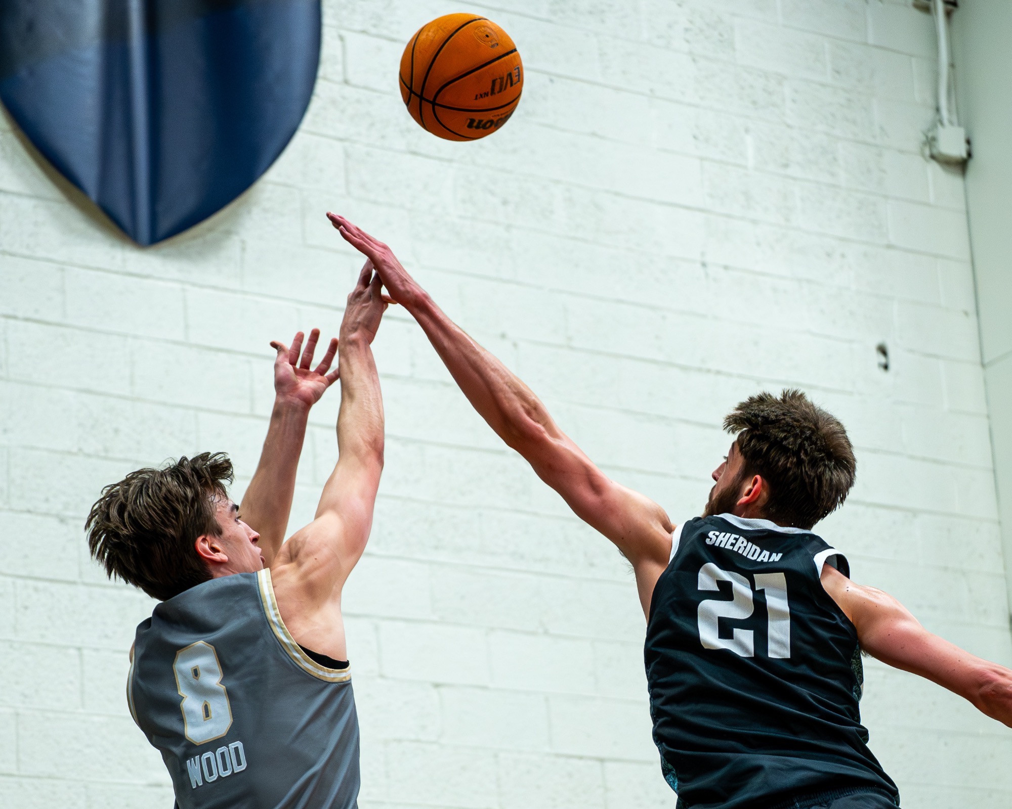 Hayden Wood against Stetson MBB 02/26/26