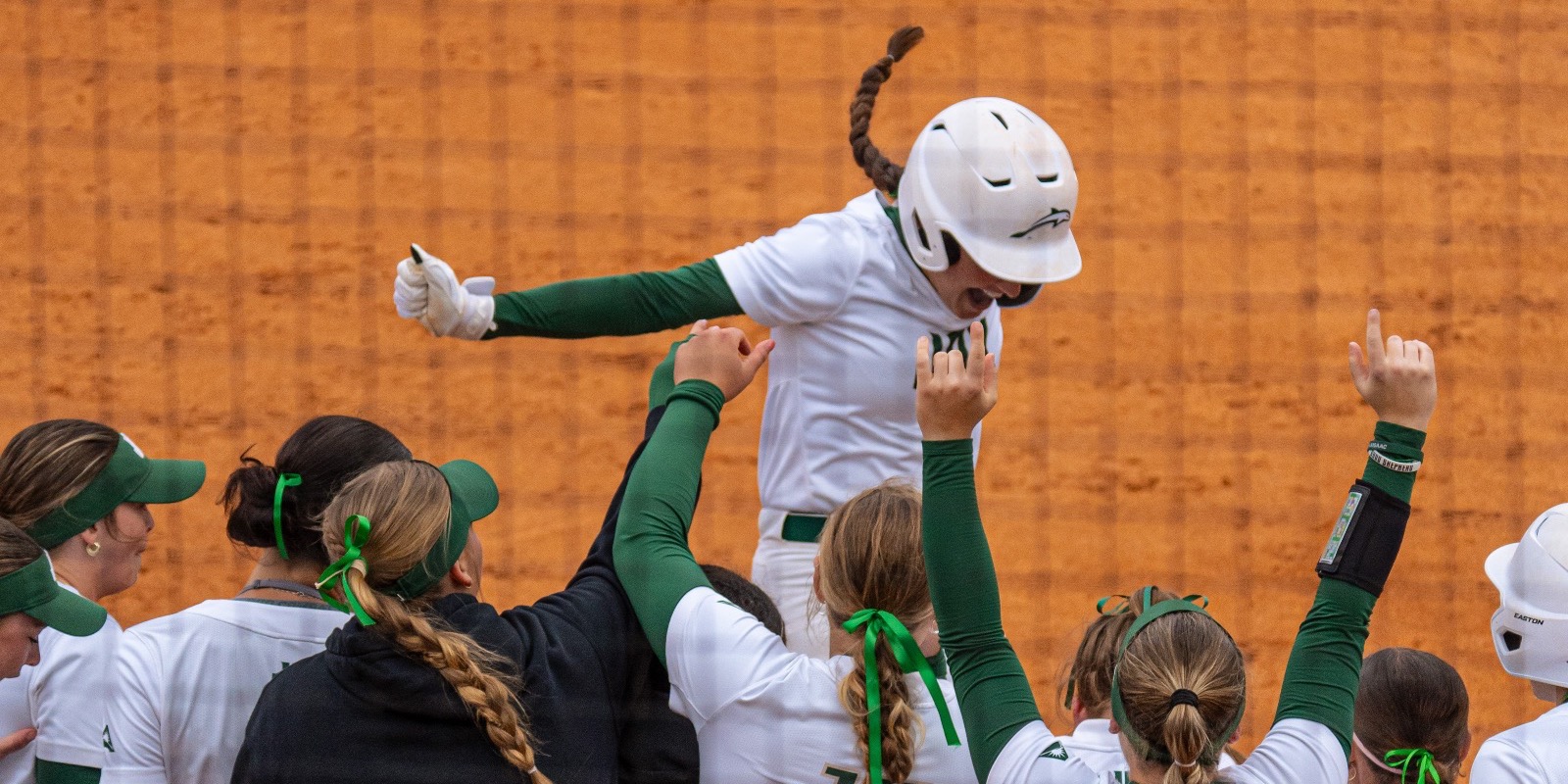 Vic Brunette celebration against UWG softball 03/28/26