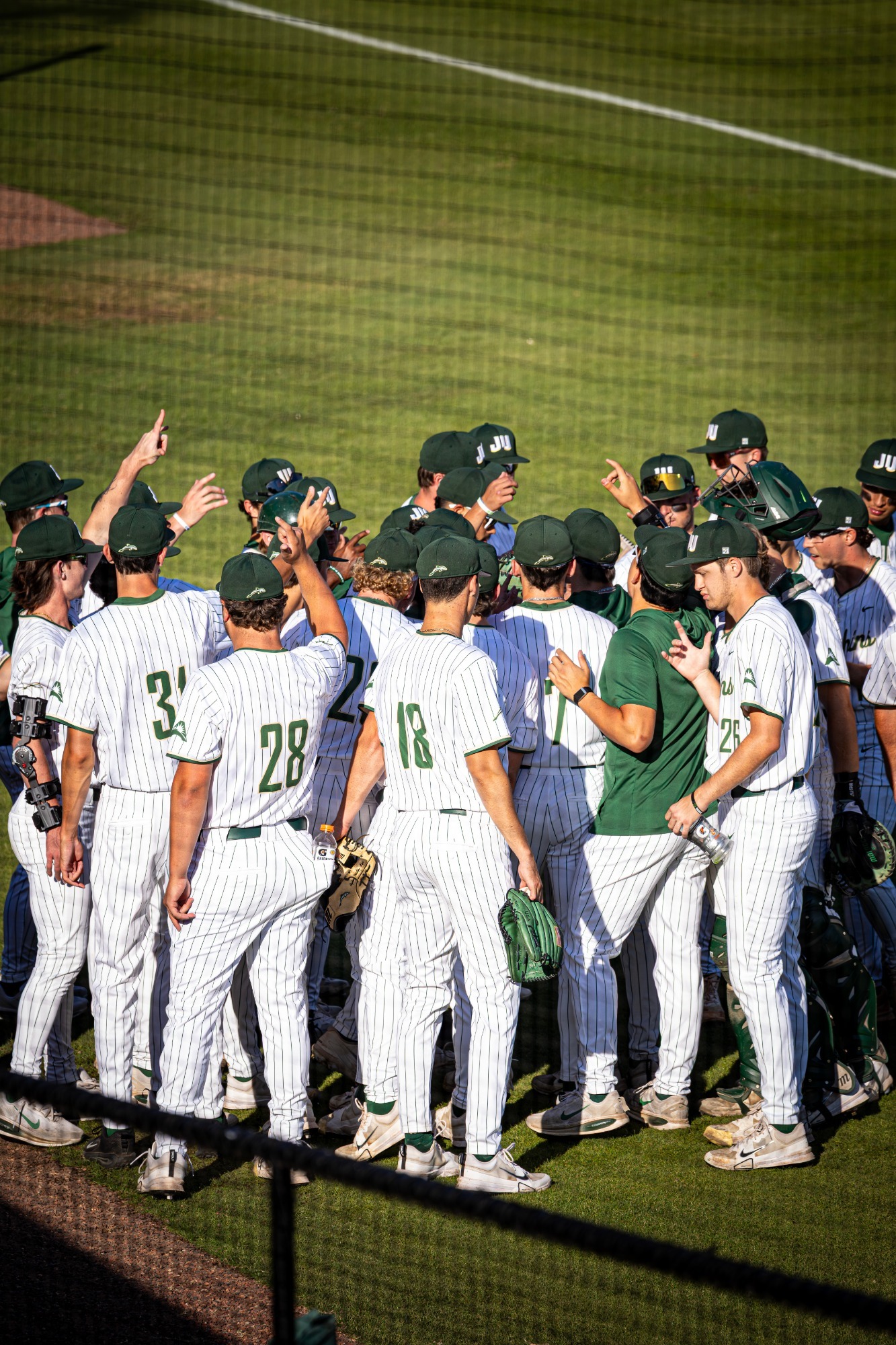Dolphins during UWG Game One