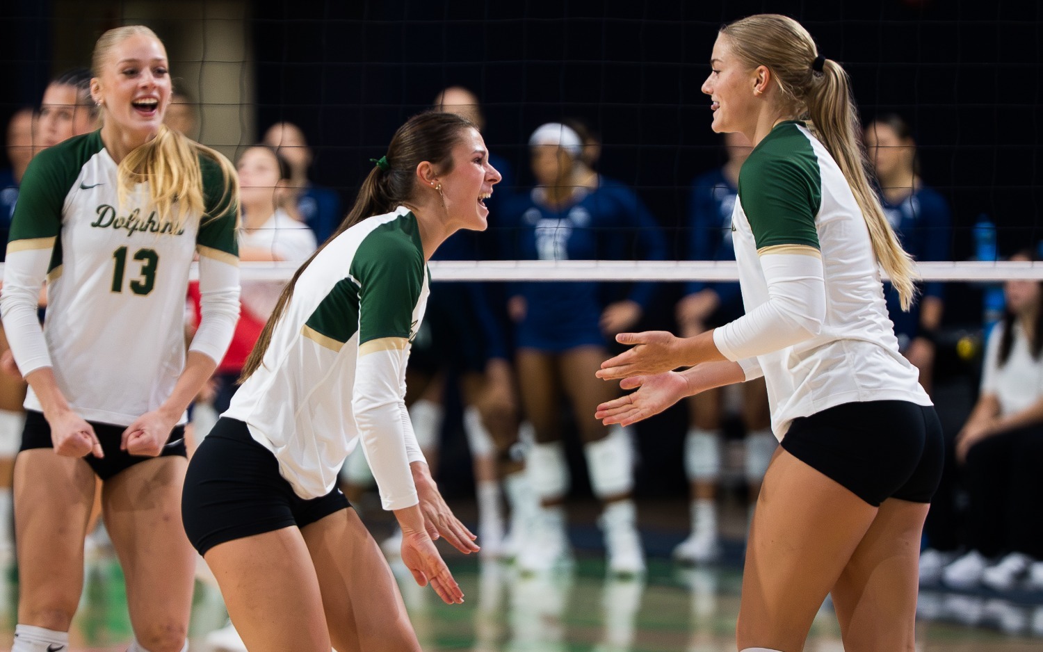 Volleyball vs. FIU (9/19/26)