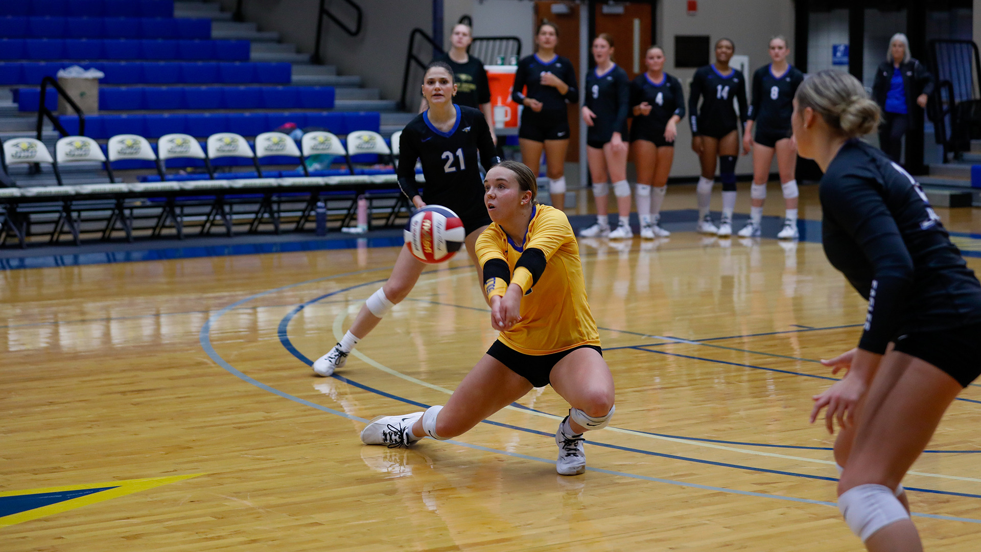 addington-wayland-baptist-volleyball-2025