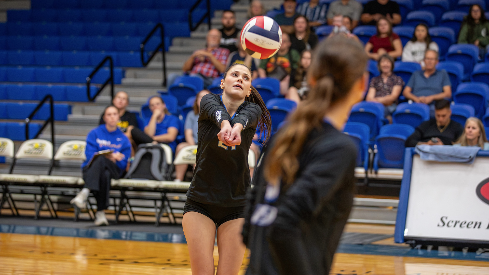 bowman-wayland-baptist-volleyball-2025