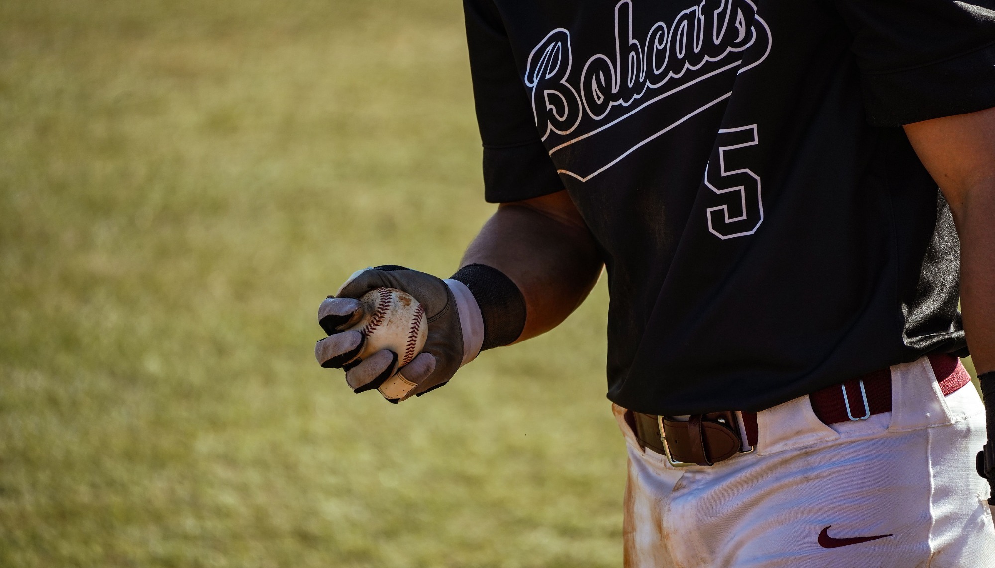 baseball live stream