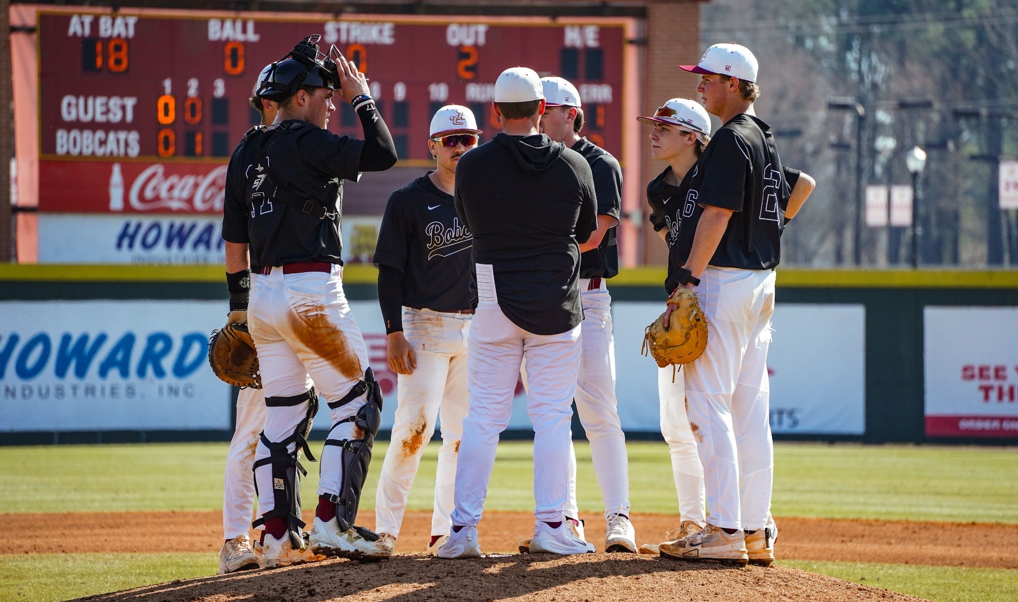 baseball mound visit