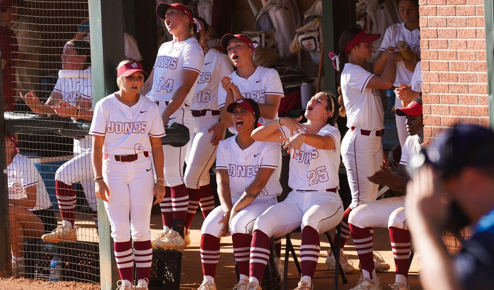 softball dugout cheering